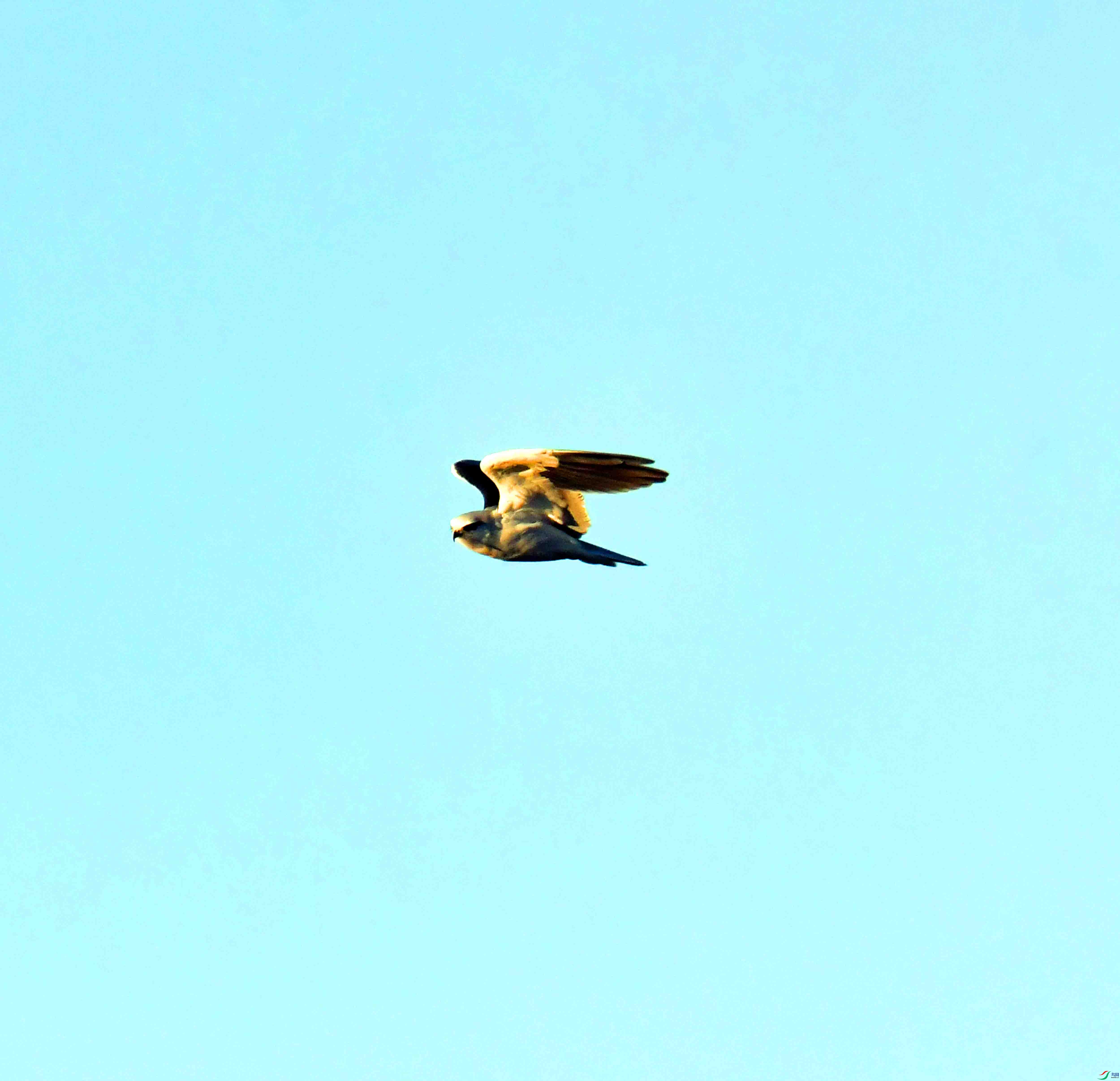 DSC_1269.JPG