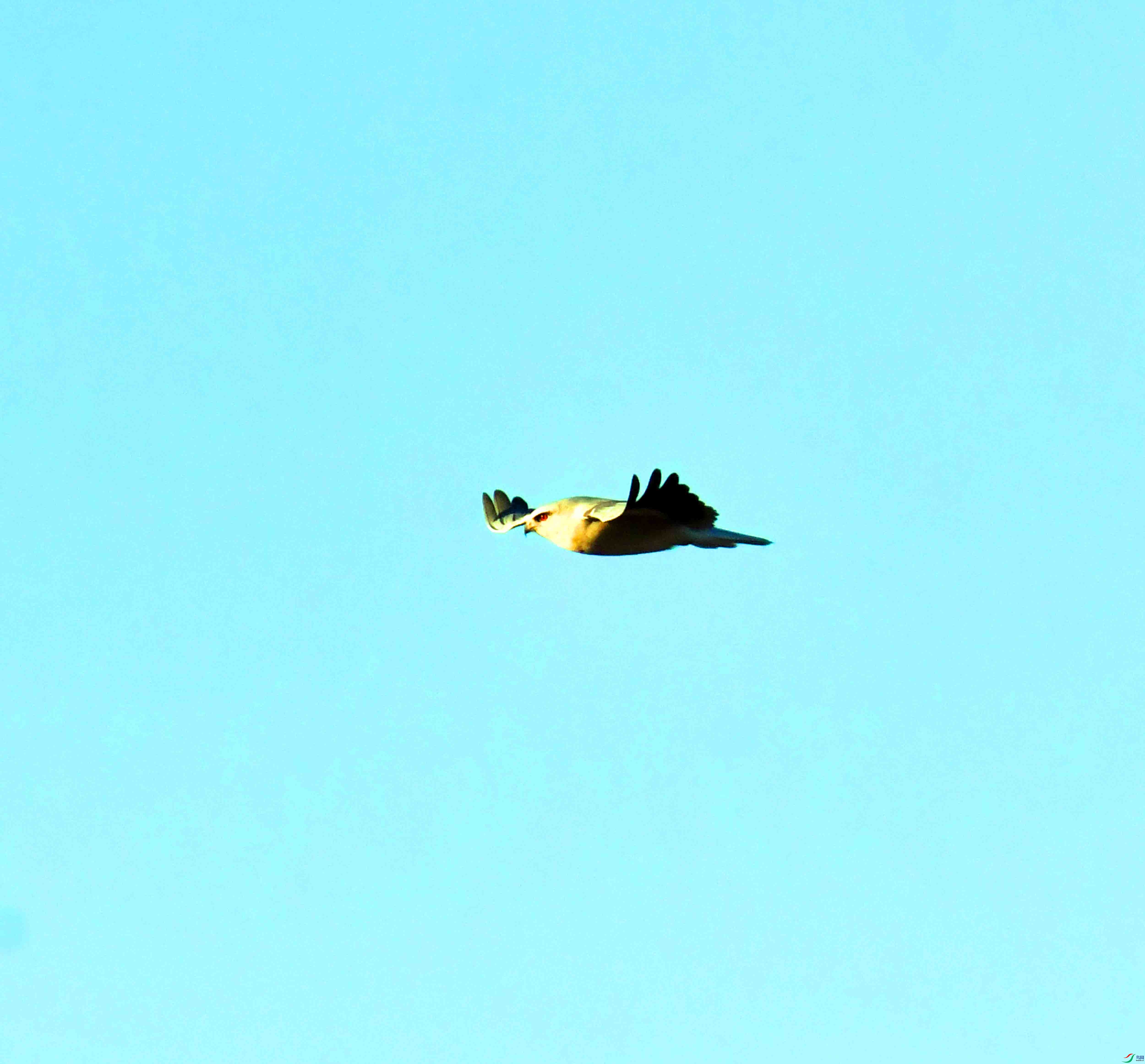 DSC_1280.JPG