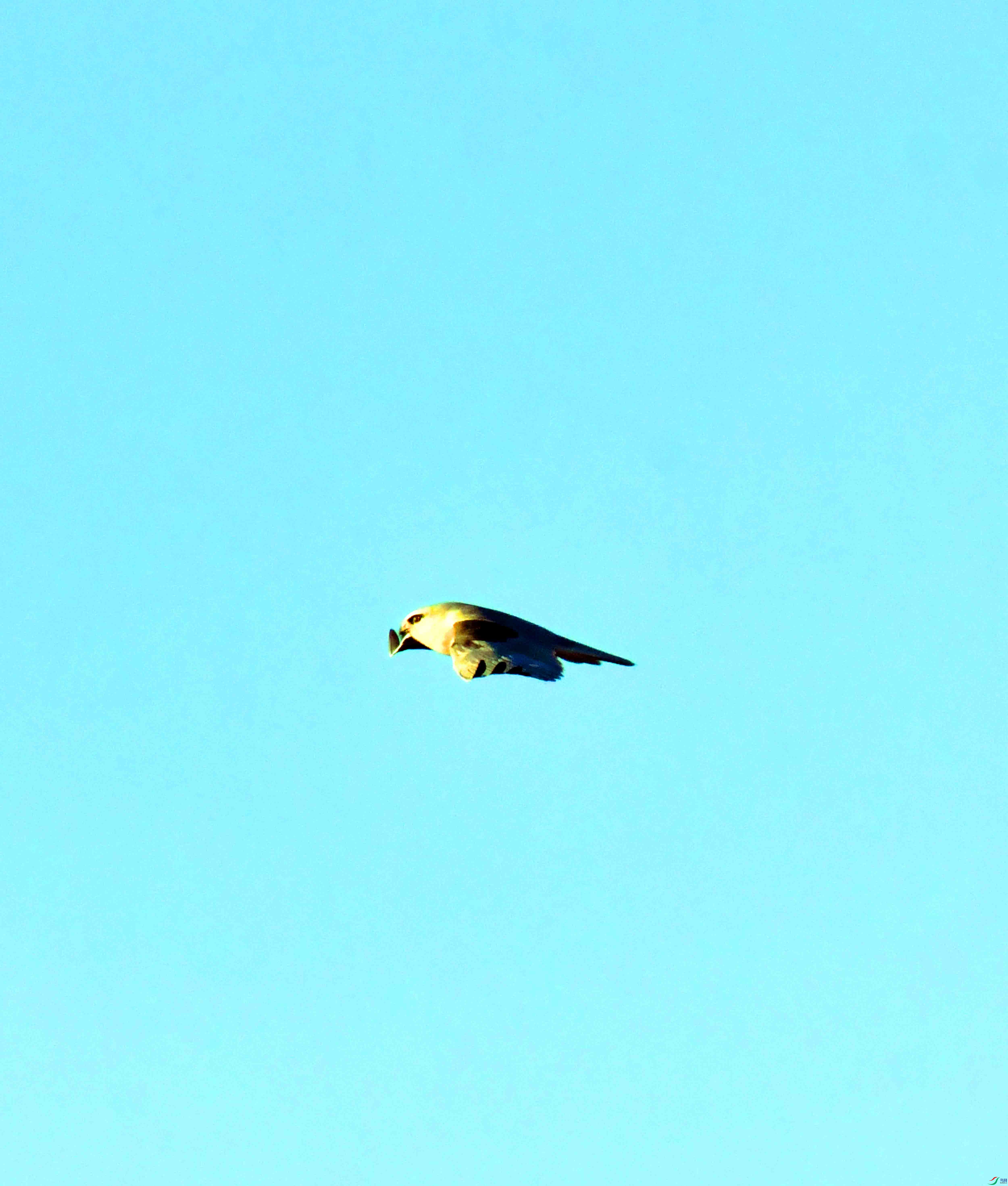 DSC_1284.JPG