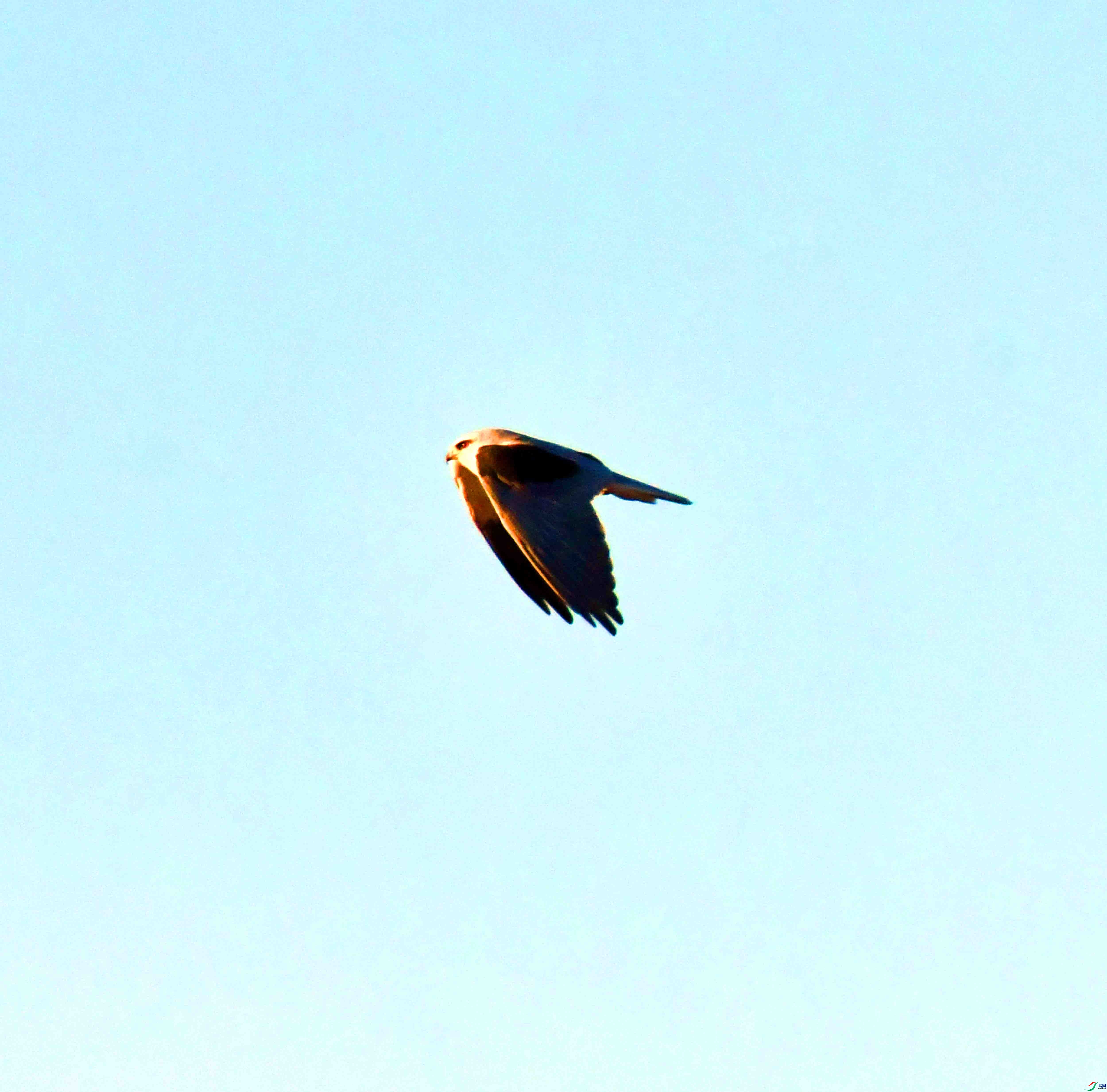 DSC_1285.JPG