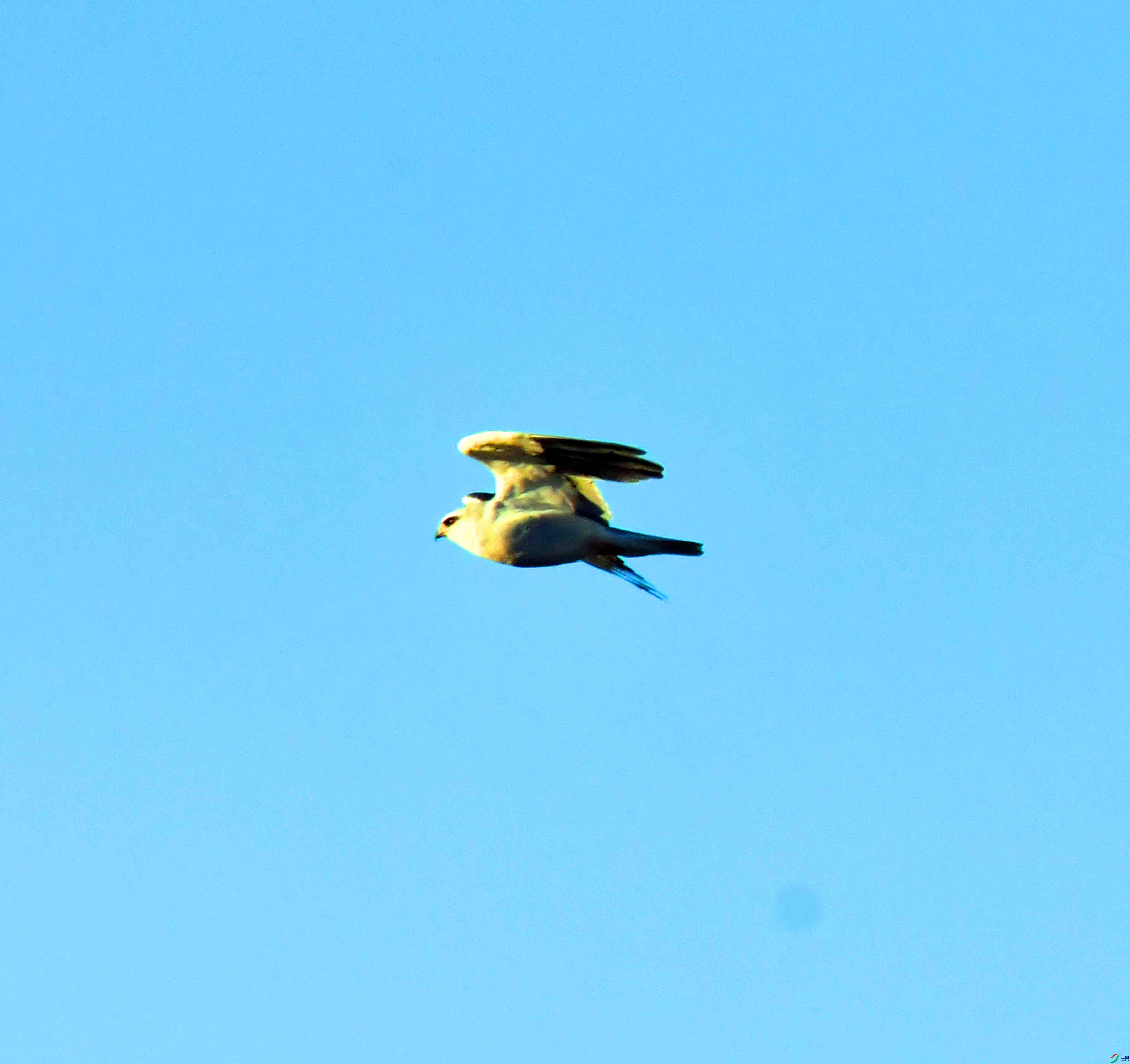 DSC_1288.JPG