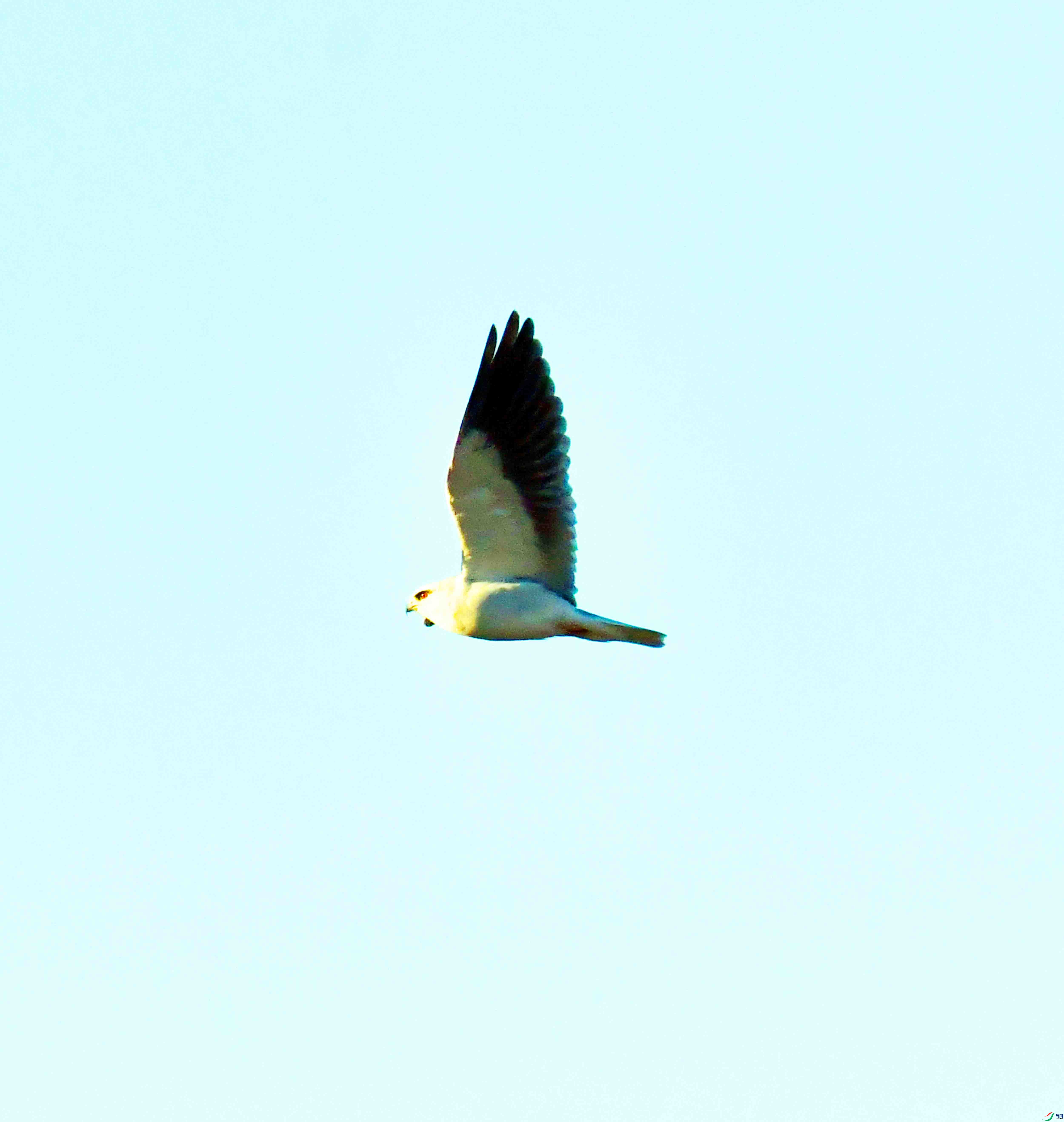 DSC_1286.JPG