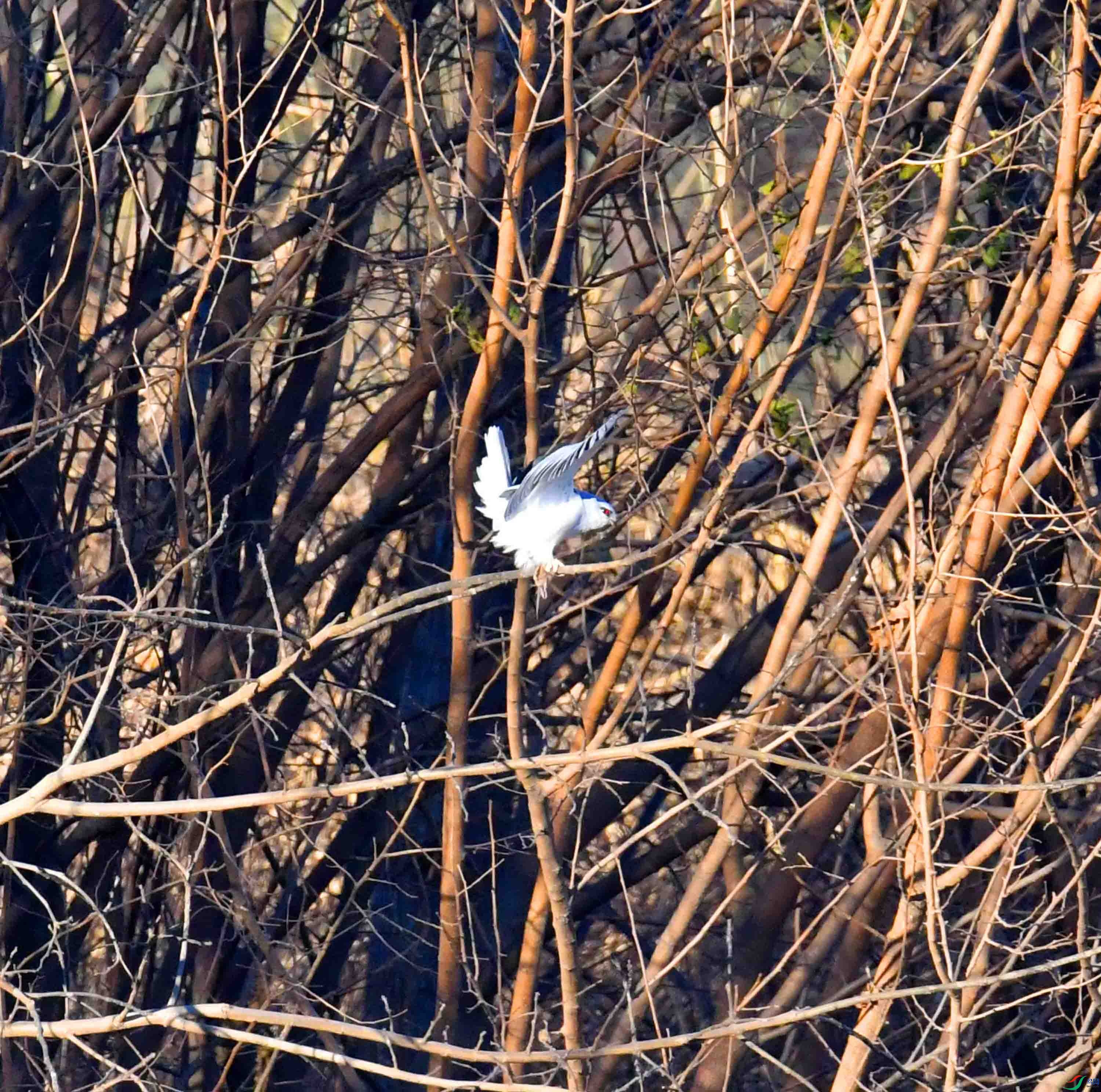 DSC_1543.JPG