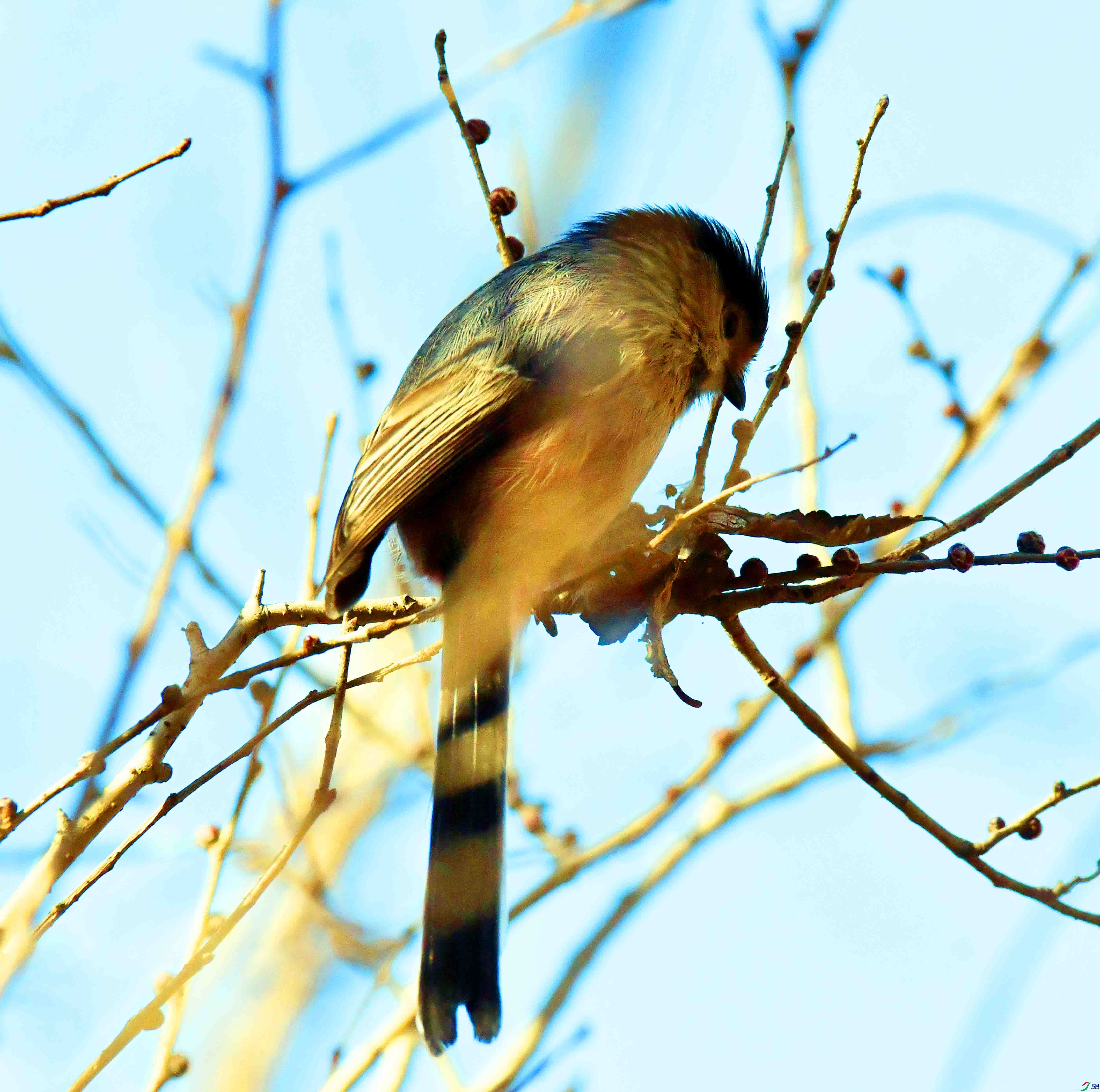 DSC_1744.JPG