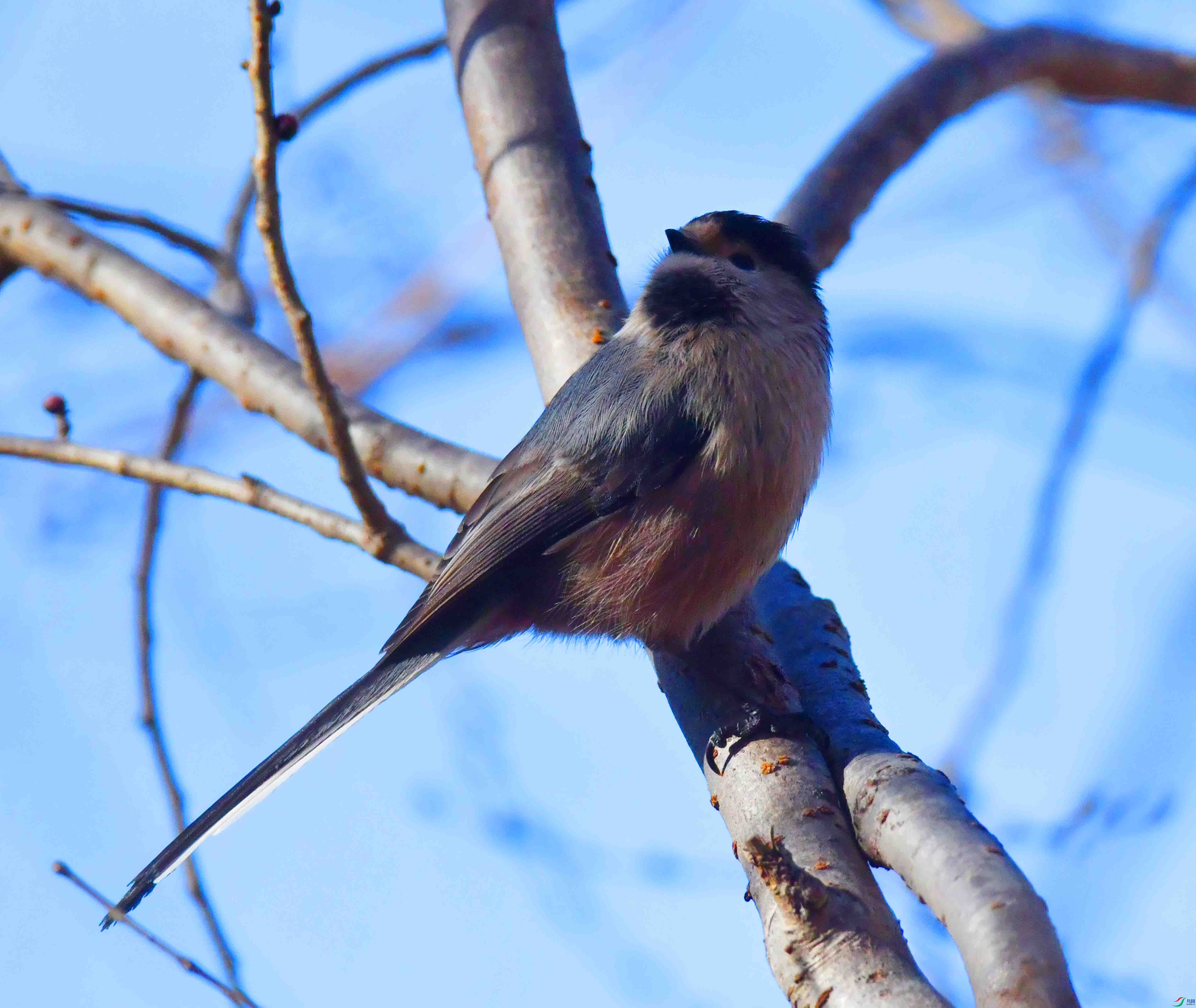 DSC_1749.JPG