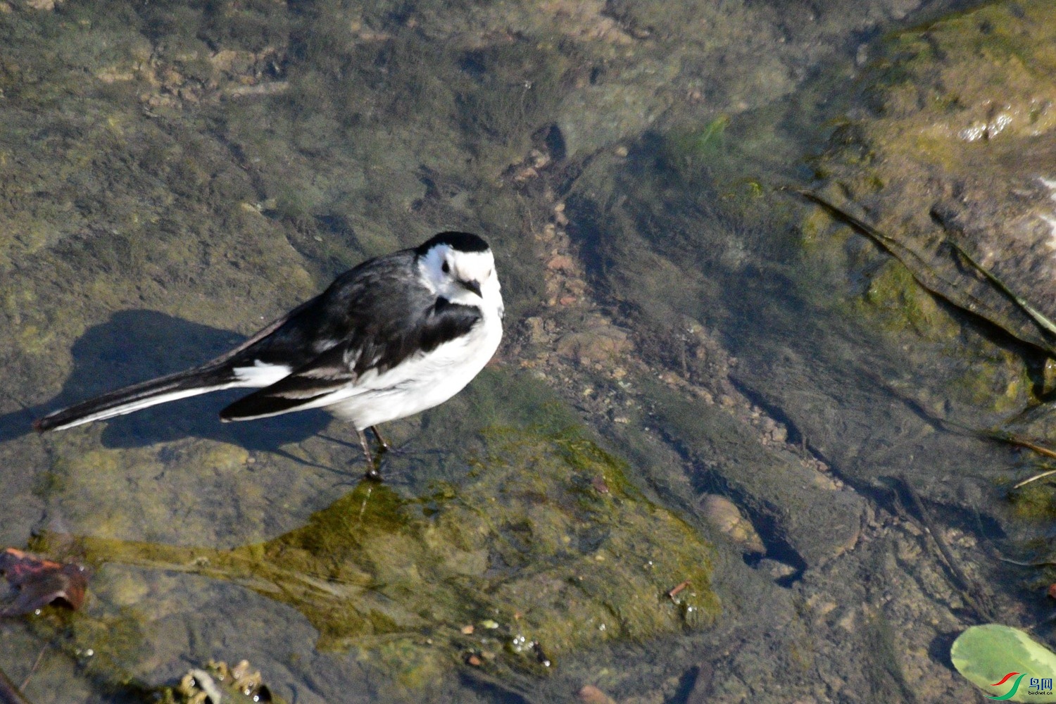 DSC_3927.JPG
