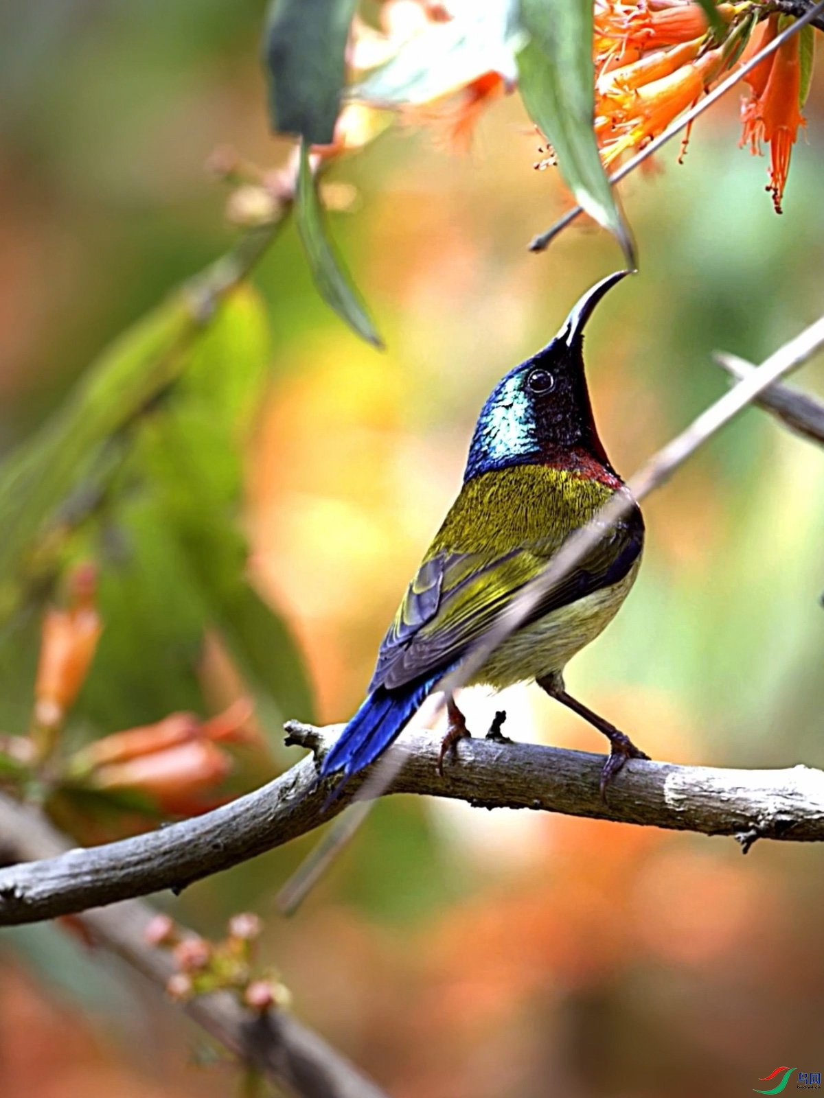 ̫������� (0-00-06-08).jpg