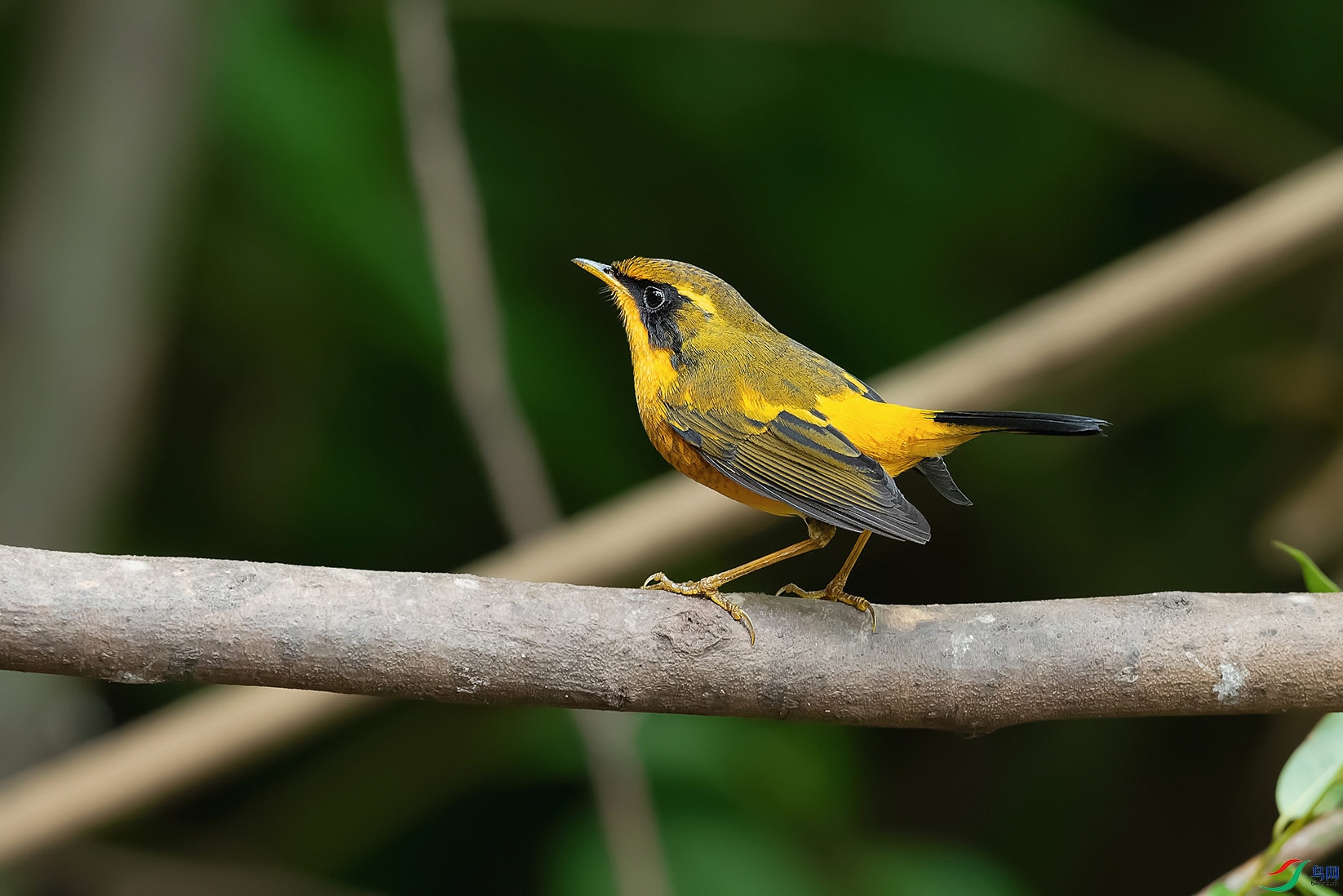 DSC_5480_DxOa.jpg