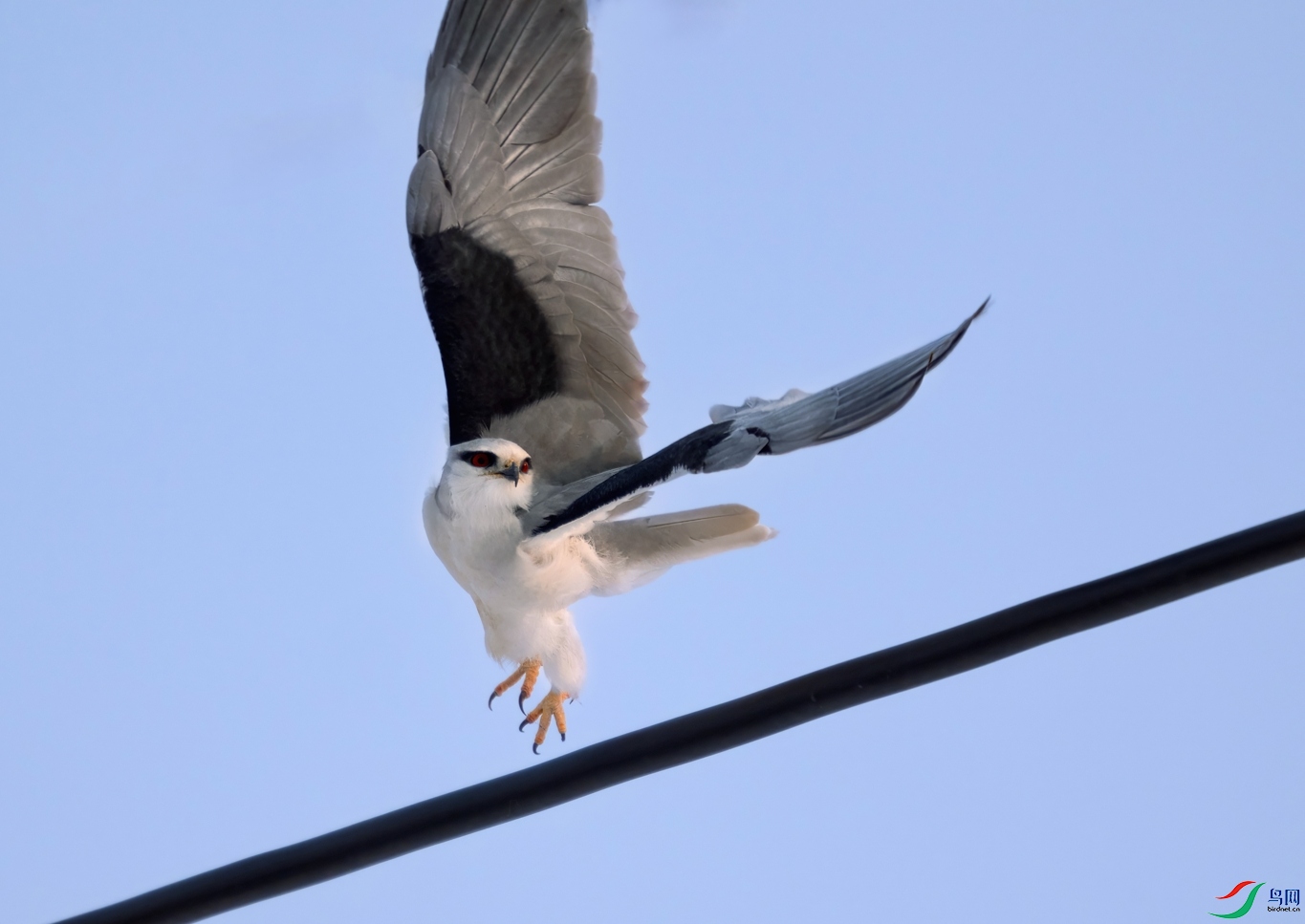 _DSC6965 ����-01.jpeg