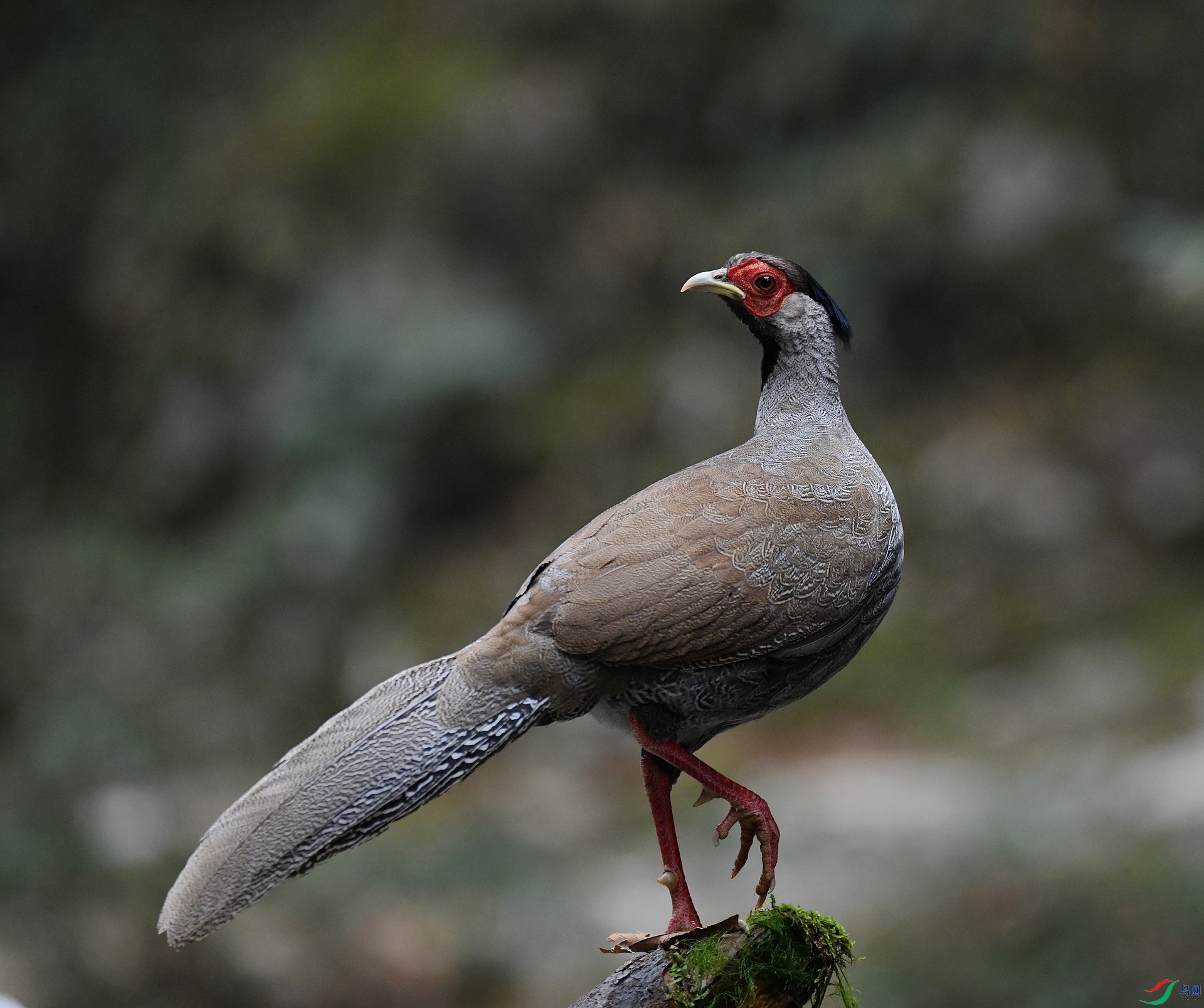 DSC_0018.jpg
