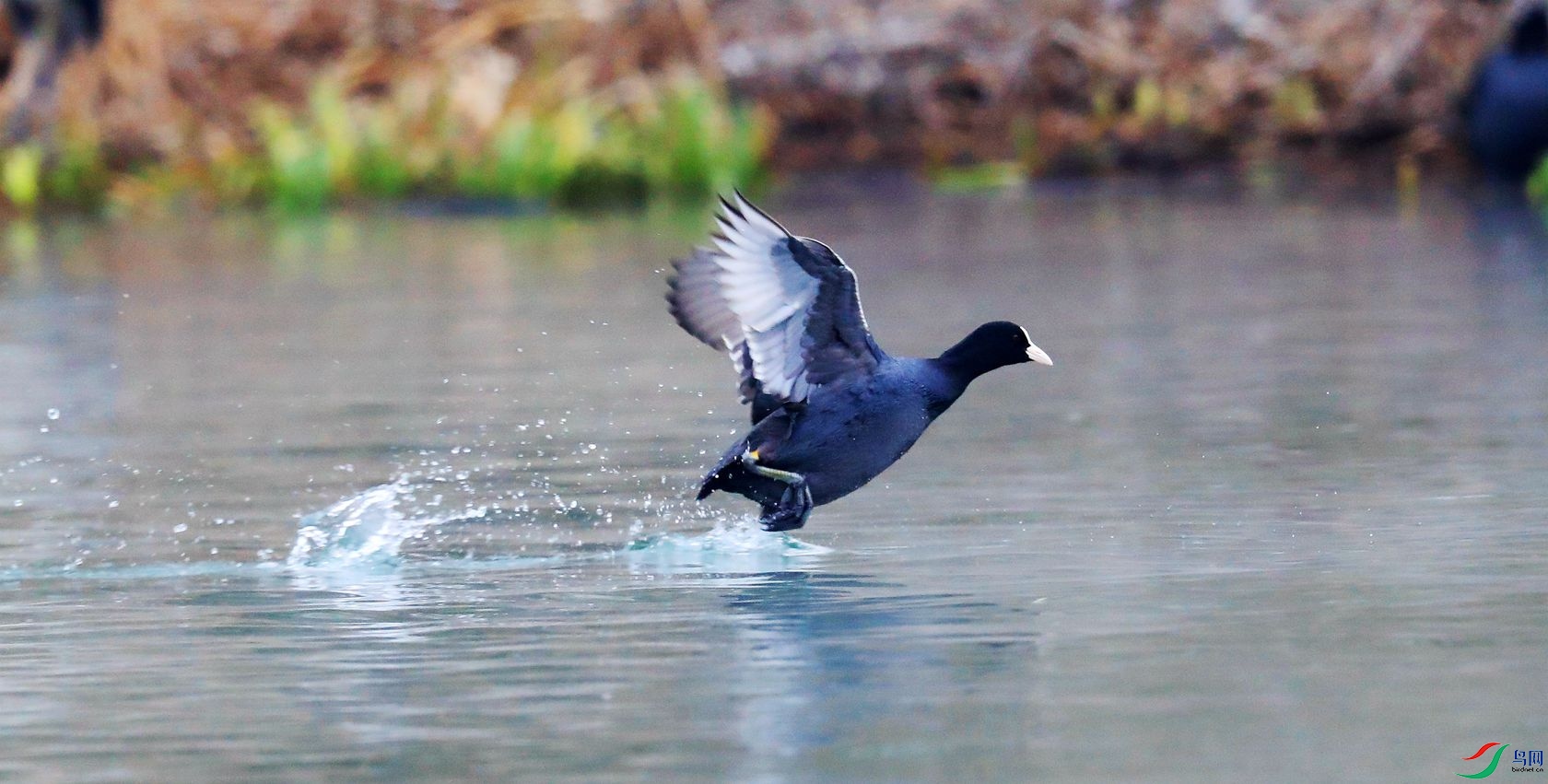 ��1 - ����.jpg