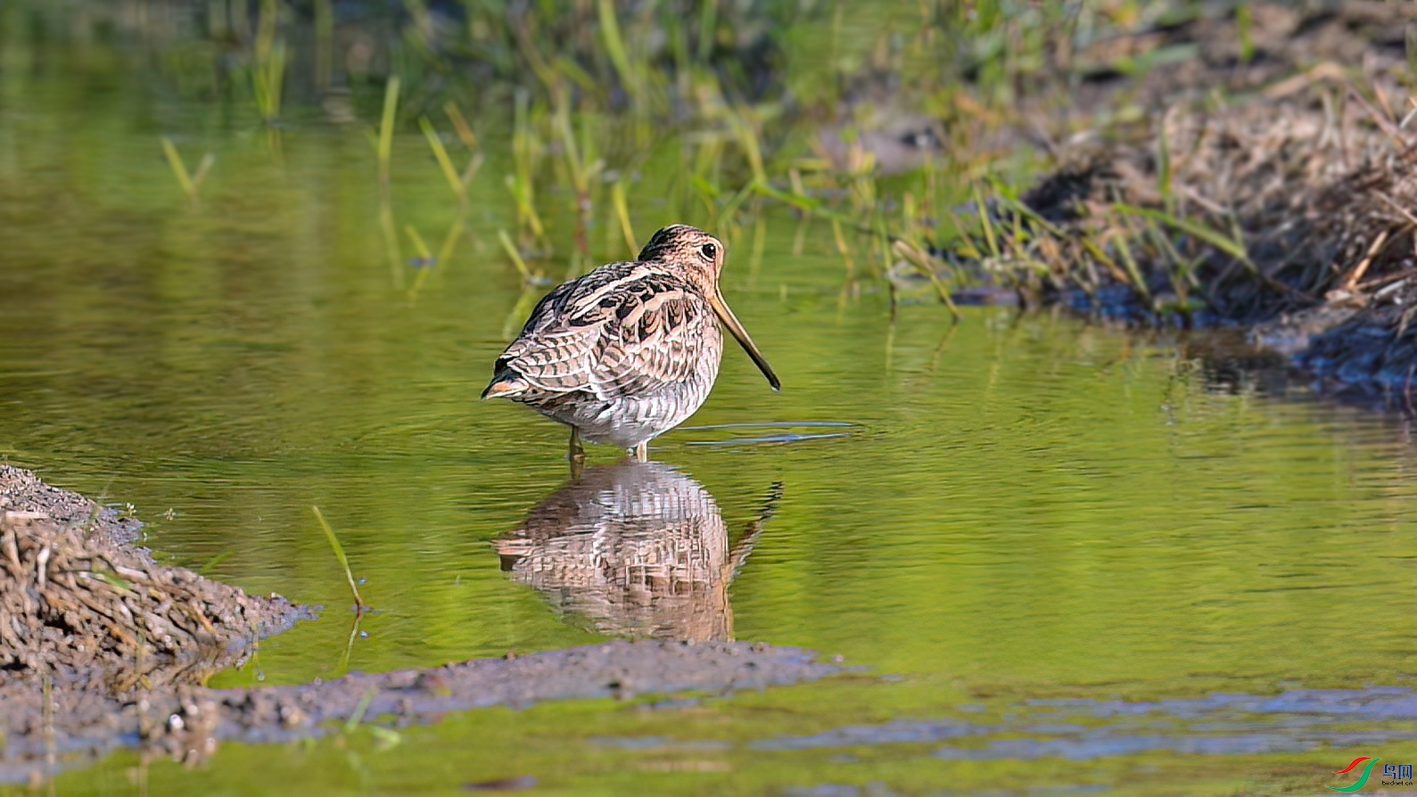 1��19�� (1).jpg