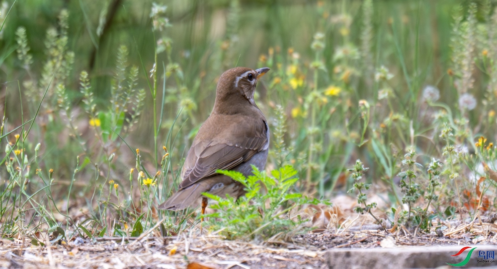 DSC_9724.jpg