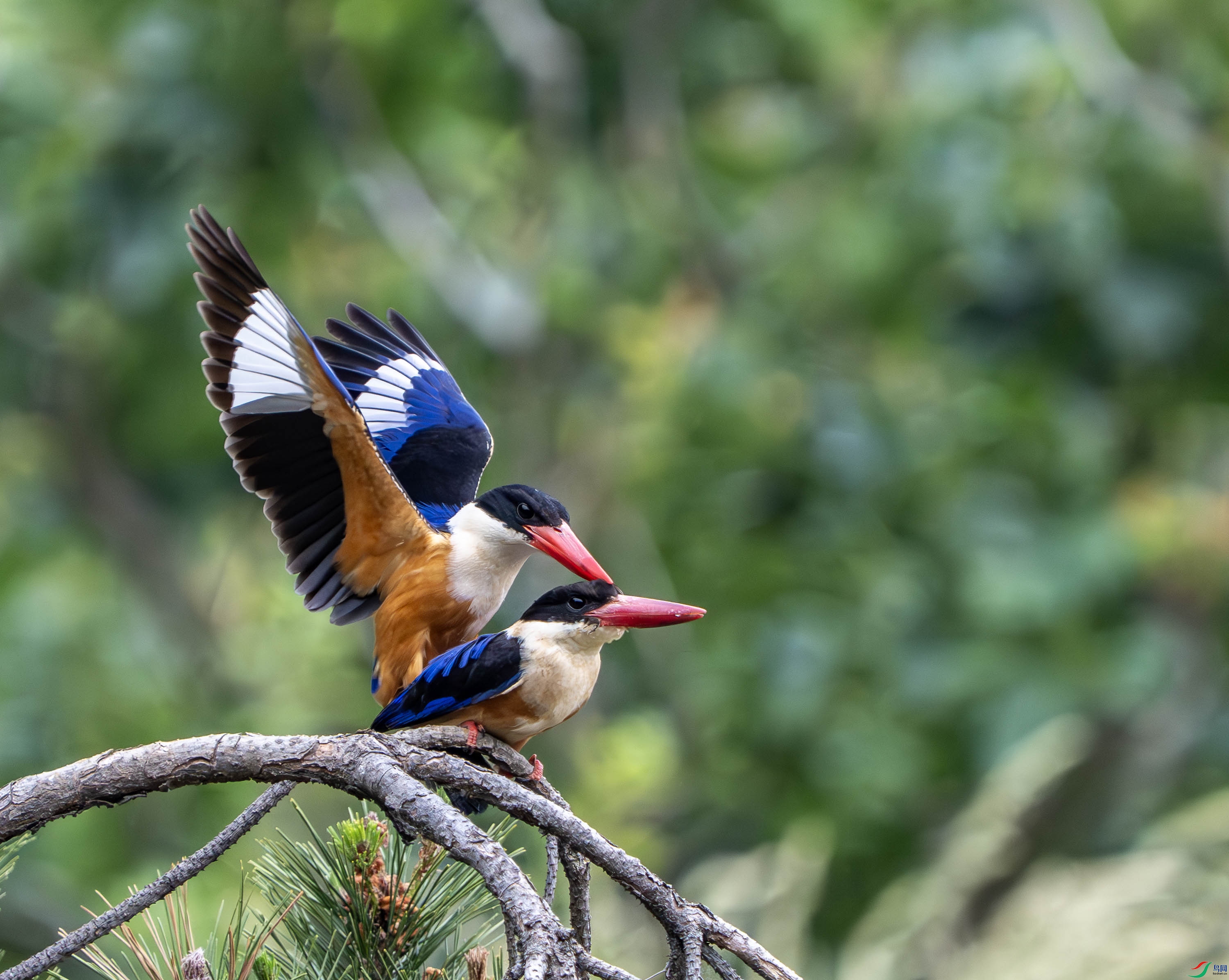 �����-23 (24).jpg