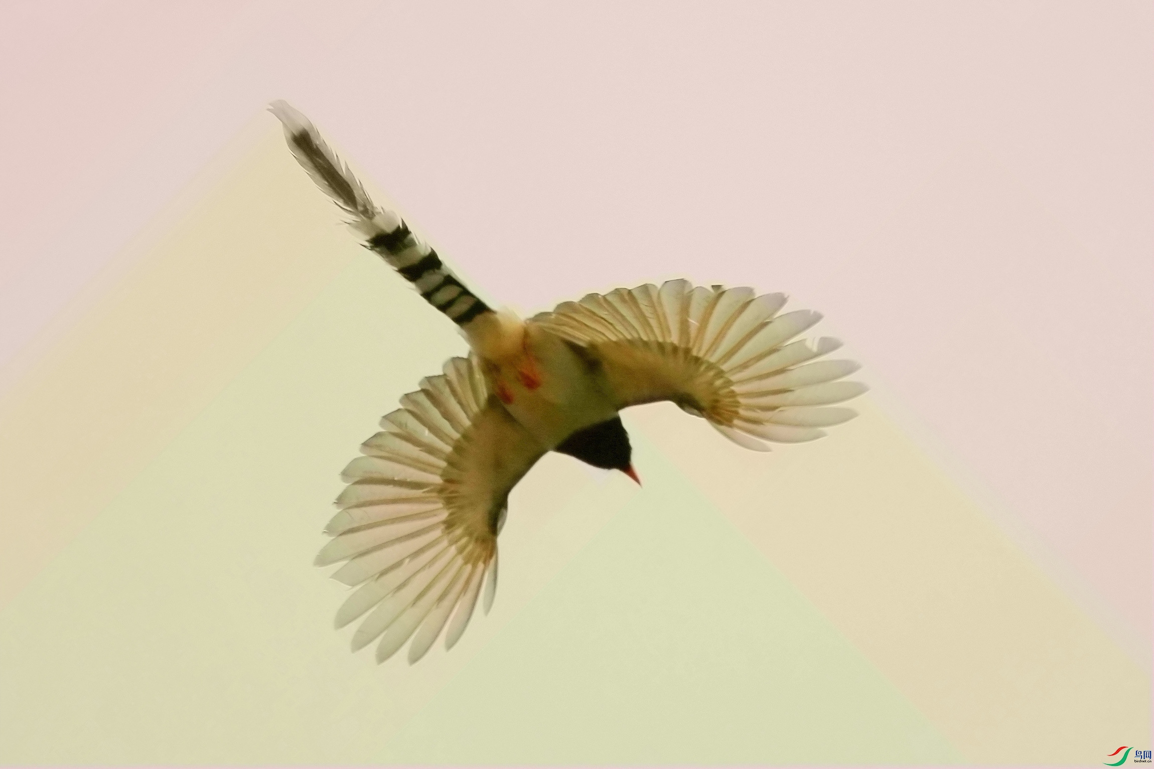 AY5T9248_����_����.jpg