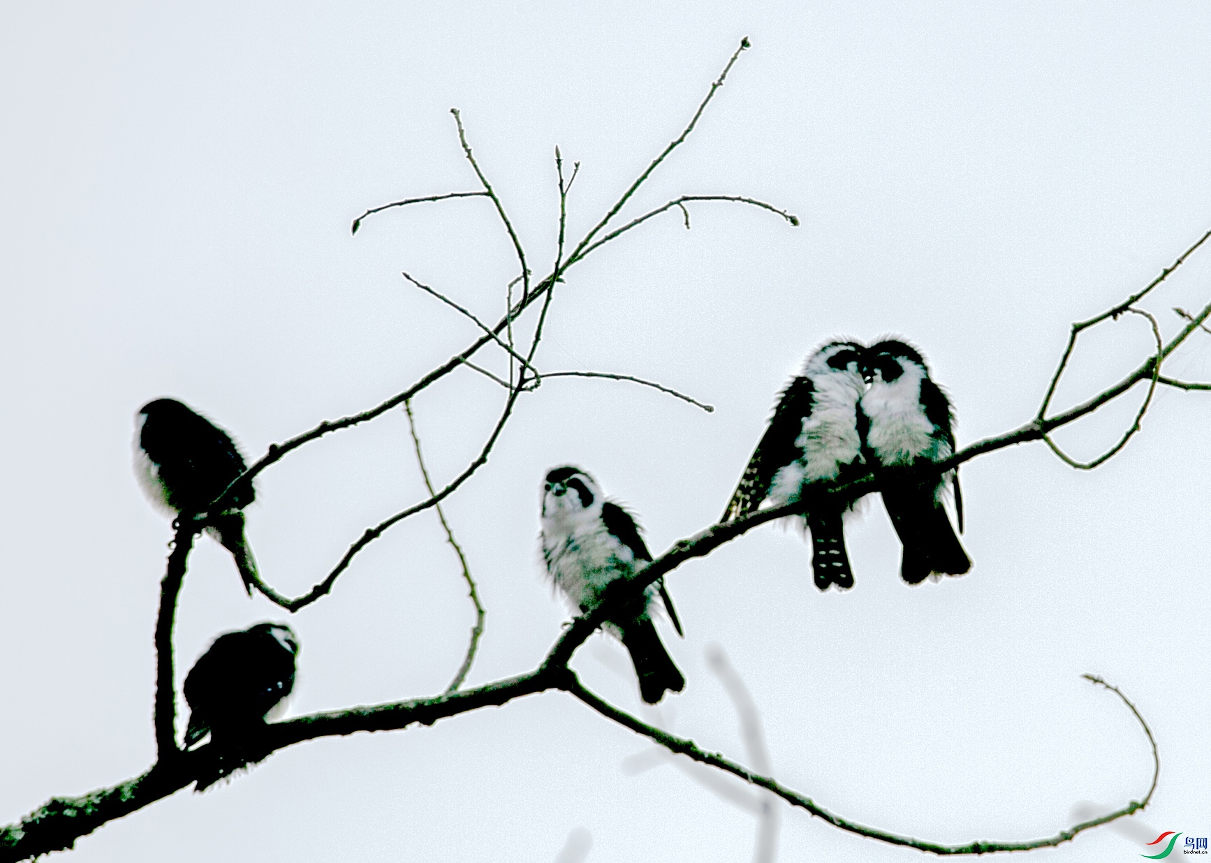 673A0645 ����.jpg