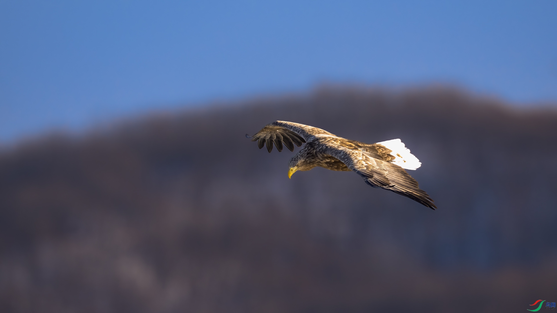 _DSC5880.jpg