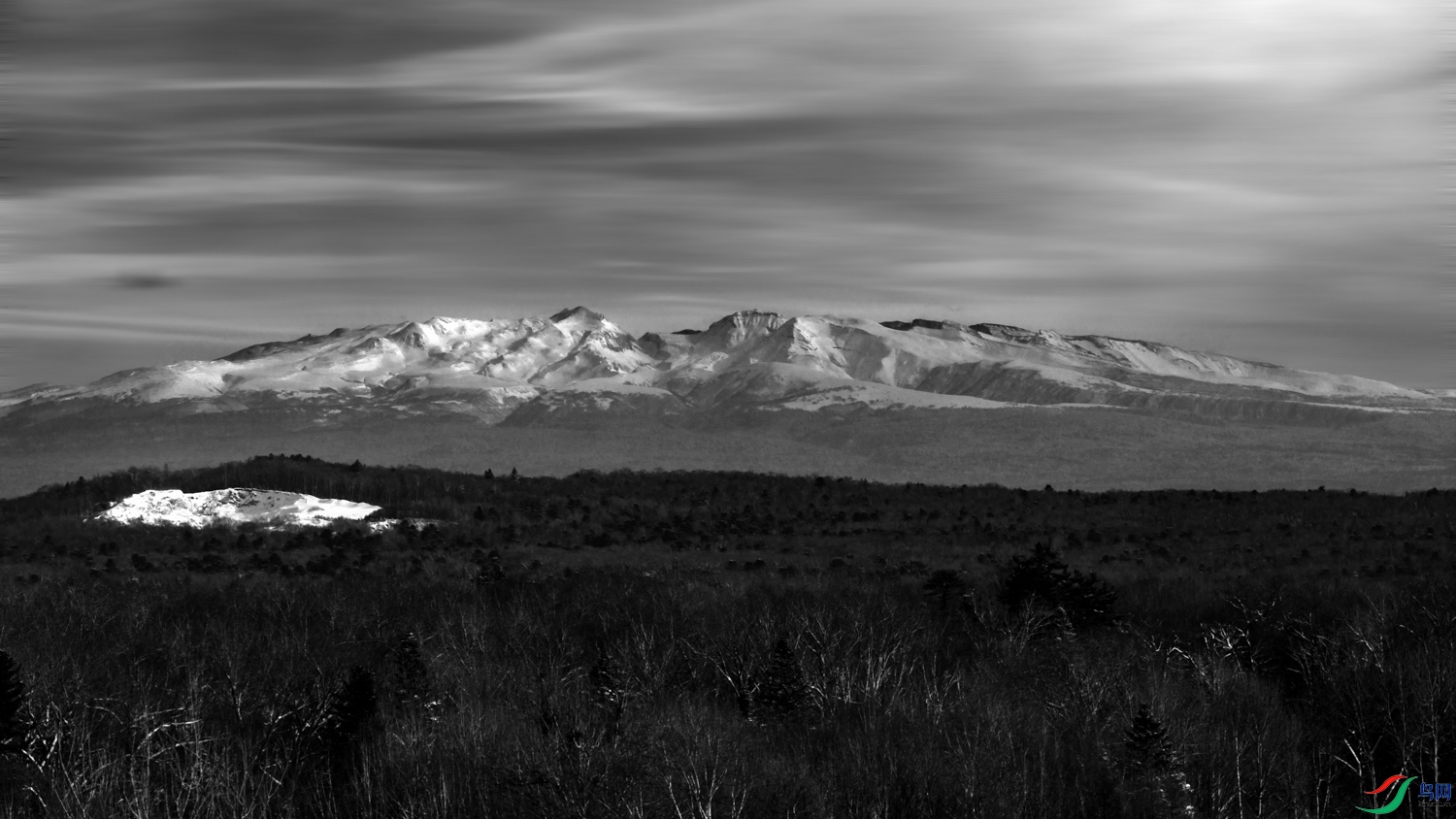 238A2711 ���� 2.jpg