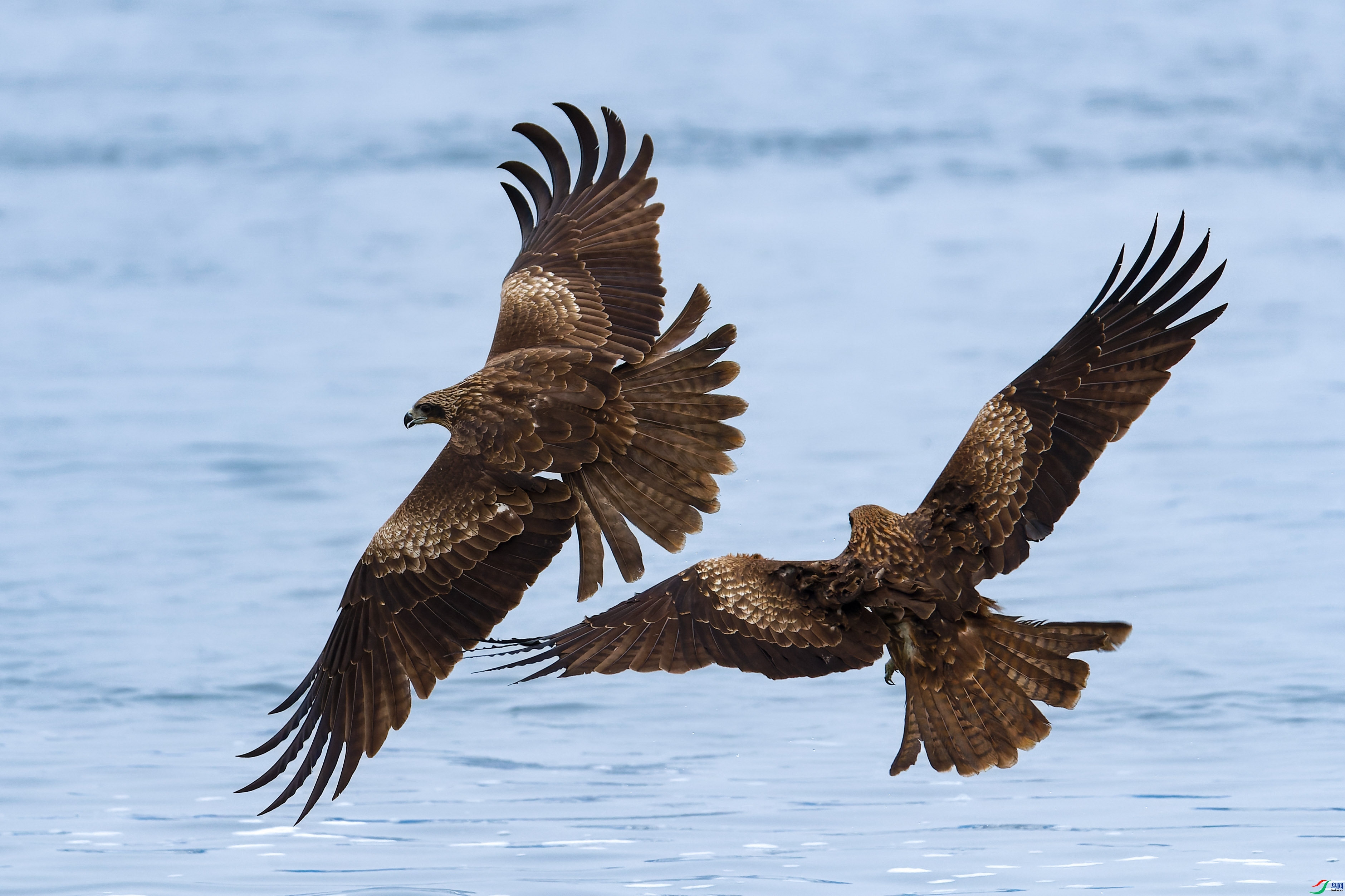 1.19���˾Ͳ�Ҫ����ʦ��Ʒ   ���裨ף����ʦ����ҳ������.jpg