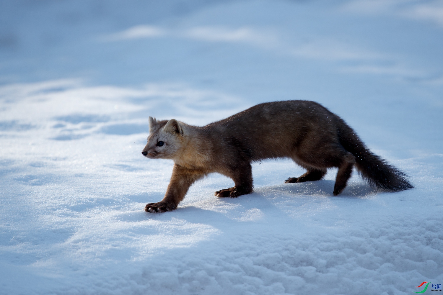 AQ9I8917 ����.jpg