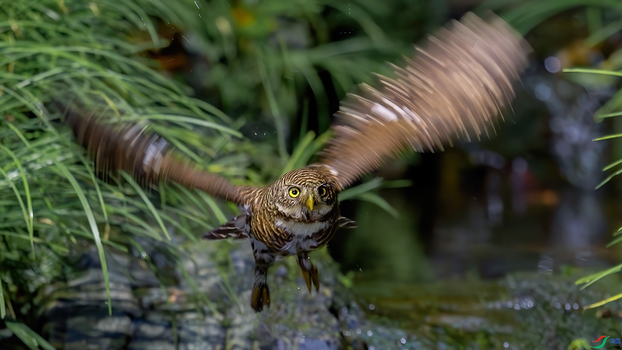 1.23Դ����Ȼ��ʦ��Ʒ  ��������ɡ���ף���ٻ�ÿ�ռ�����.jpg