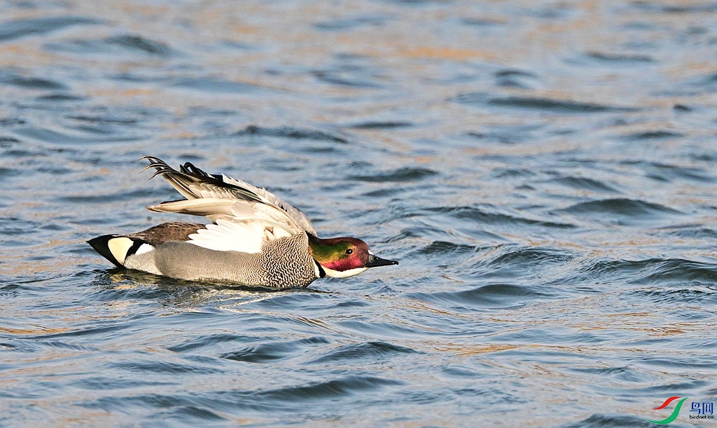 DSC_5478.JPG