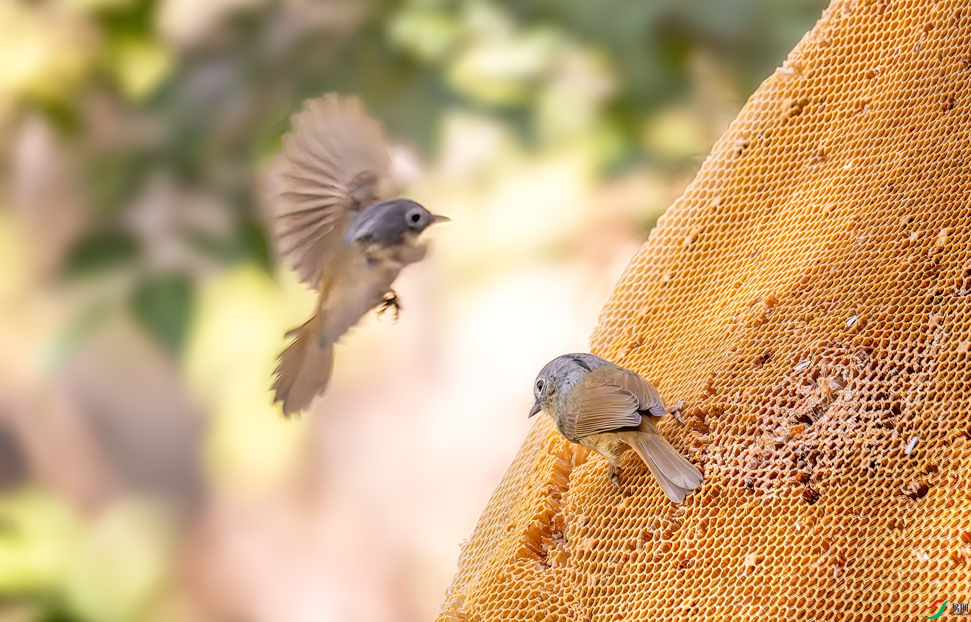 407A6347-----33  .jpg