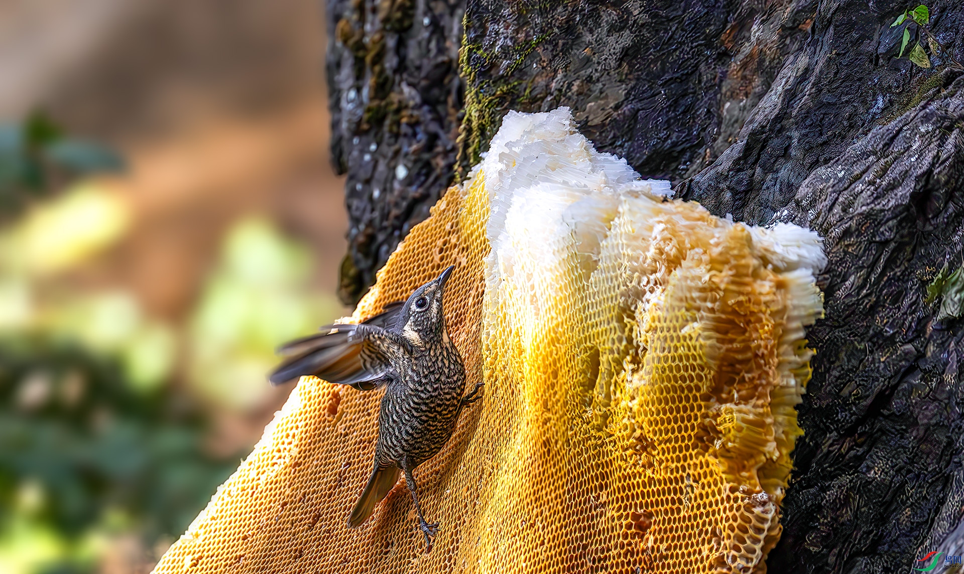 407A4783-----33  .jpg