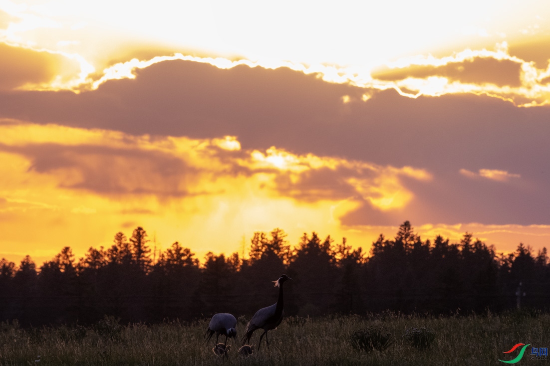 DSC_0090.jpg