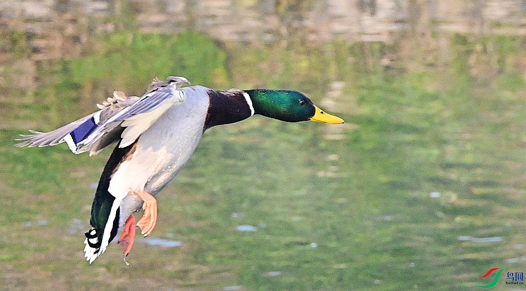 DSC_0760.JPG