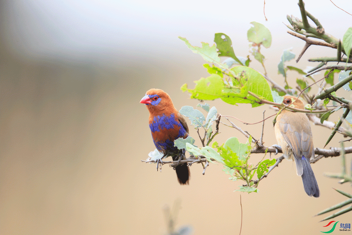 ������ȸ (2).gif