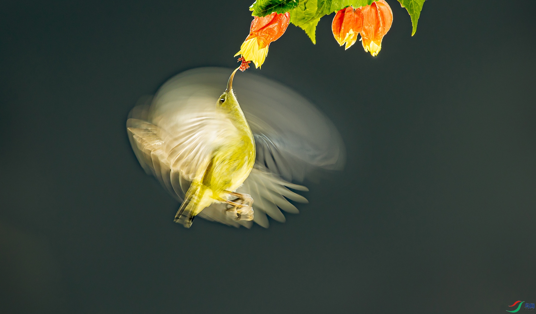 IMGL3902��s (2).jpg