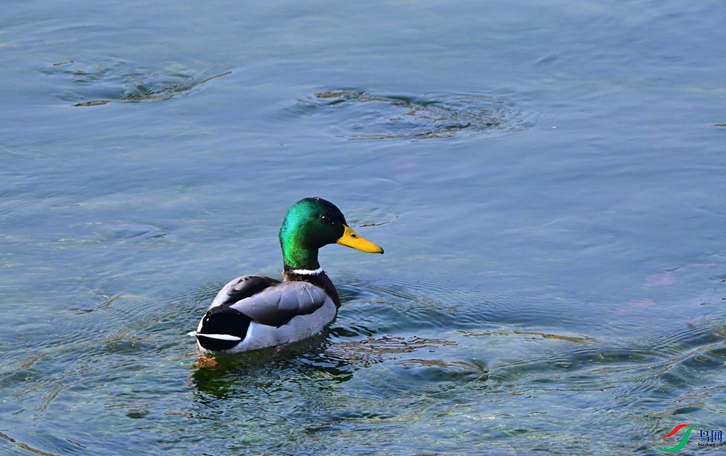 DSC_3276.JPG