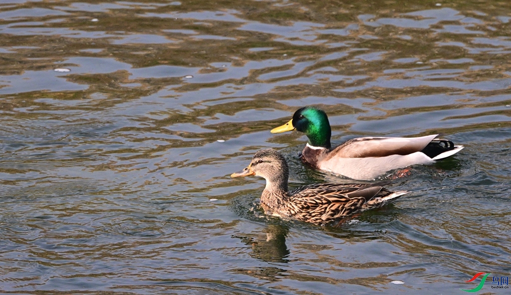 DSC_3390.JPG