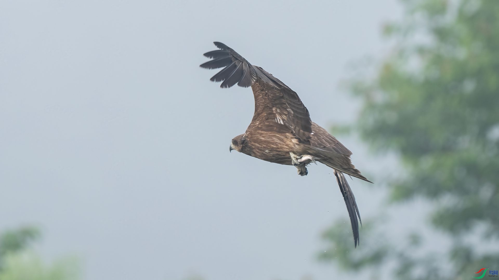 DSC06058 ����.jpg