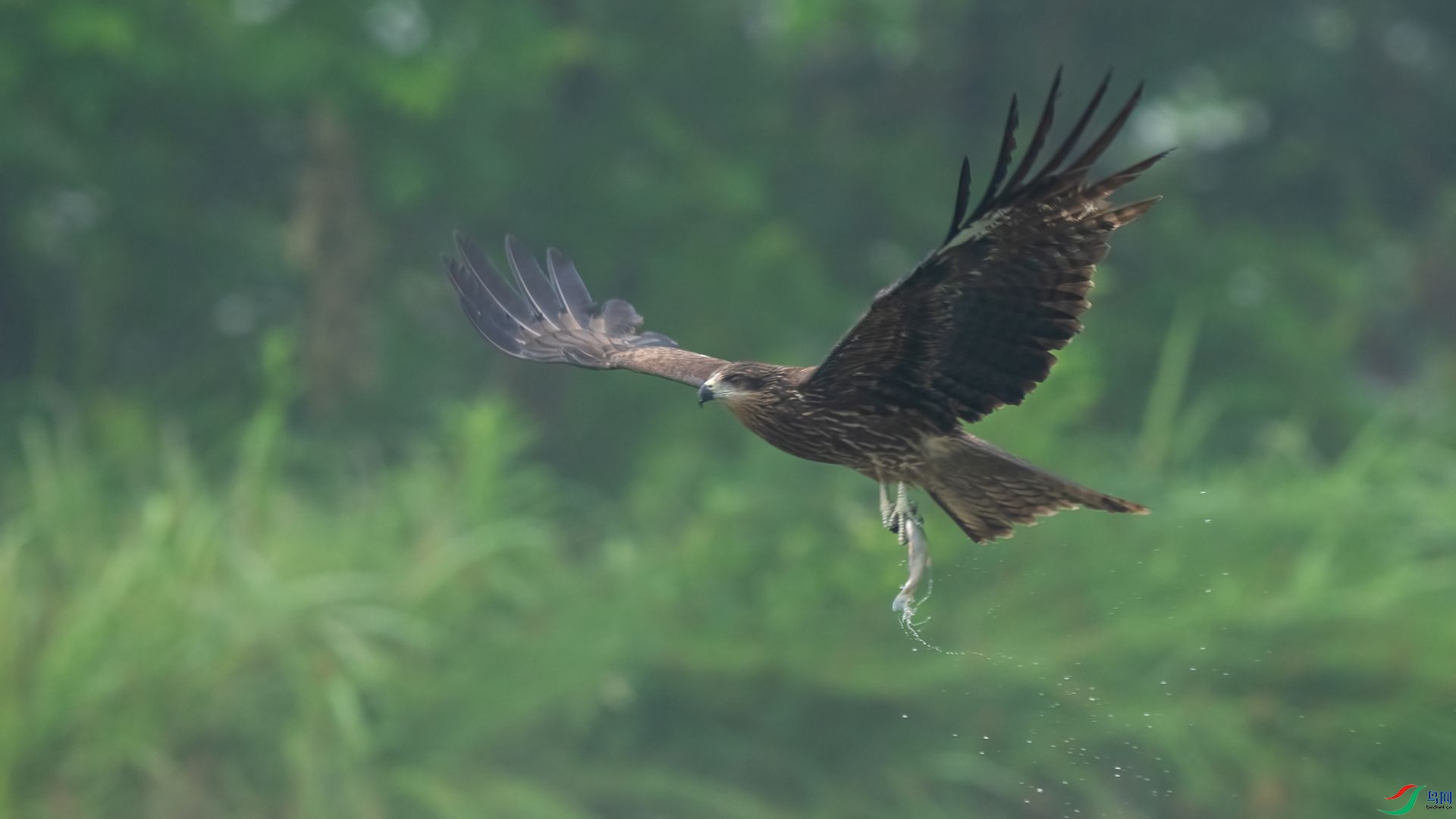 DSC06128 ����.jpg