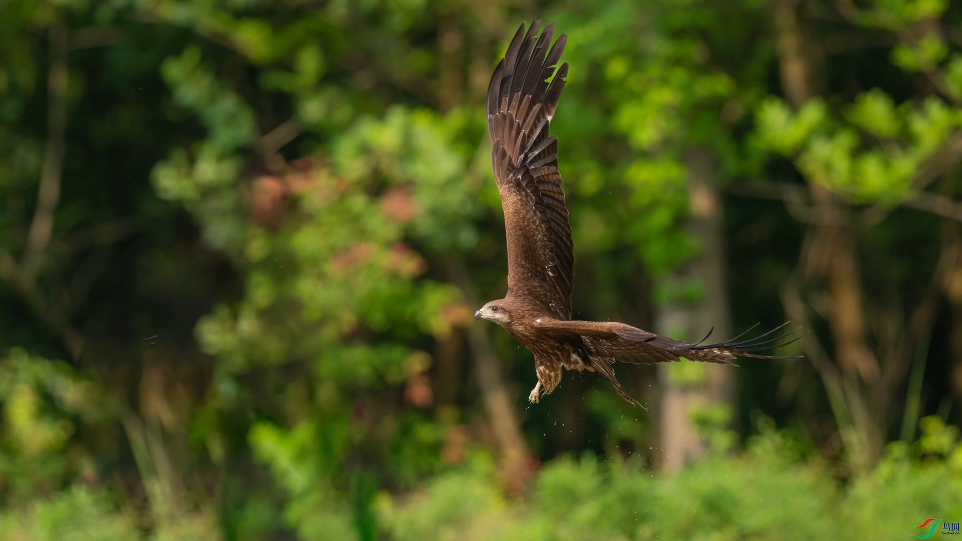 DSC06746 ����.jpg