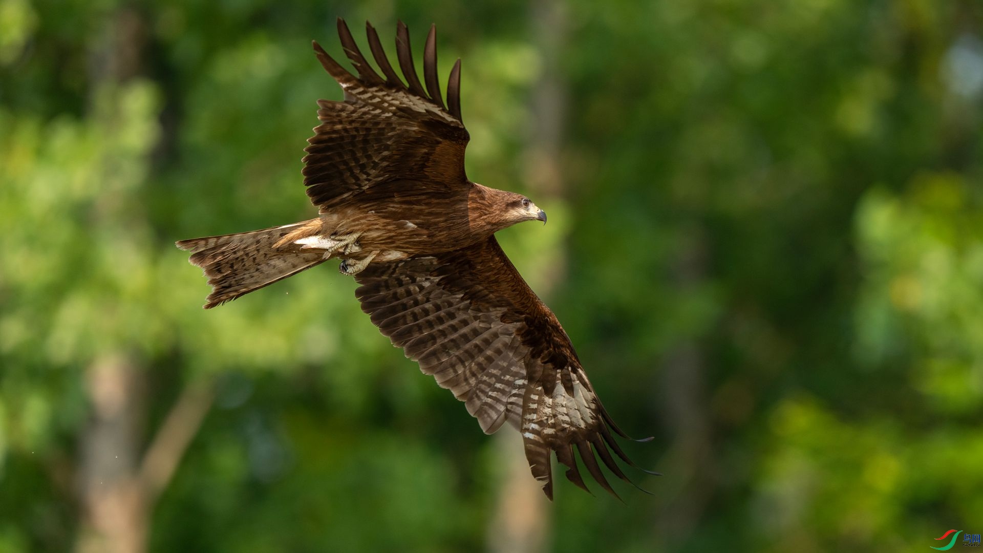 DSC06781 ����.jpg