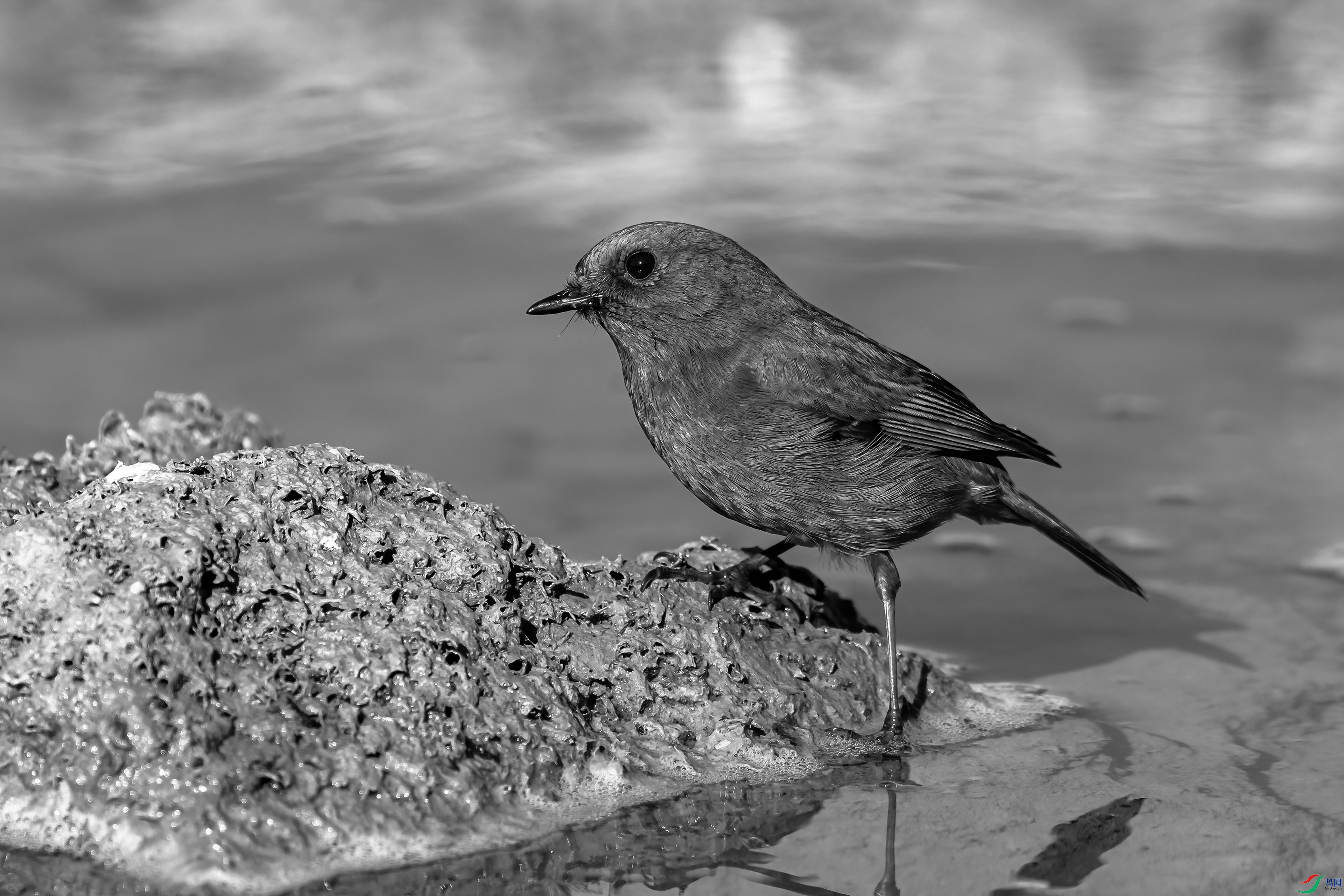 DSC05870a_����.jpg