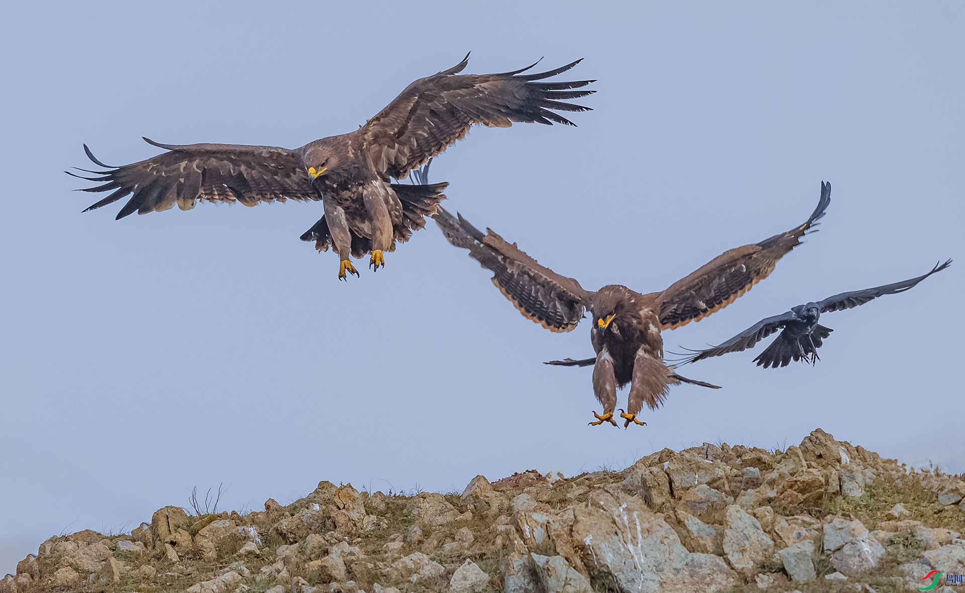 0E8A8849����  03.jpg