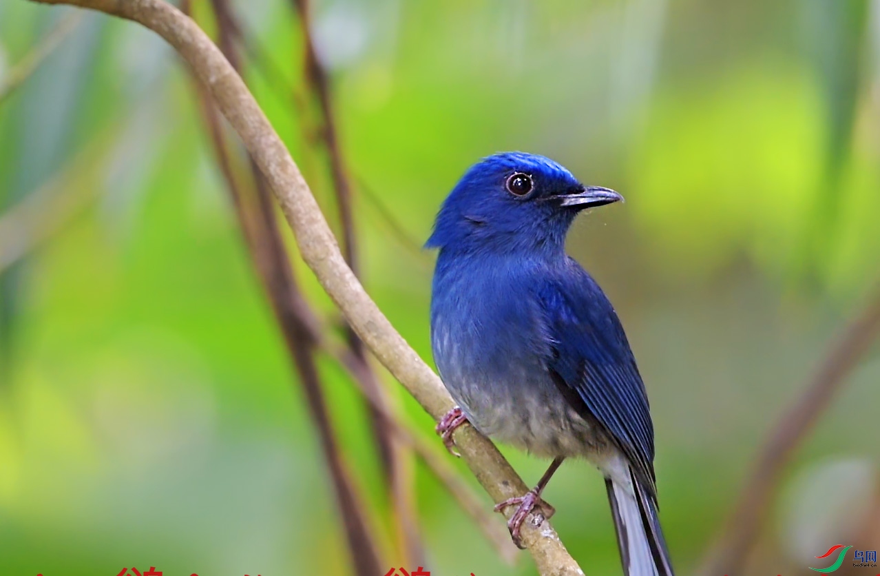 {E9FB7833-88A4-49AD-93FD-DBA0EF42F4F1} ����.jpg