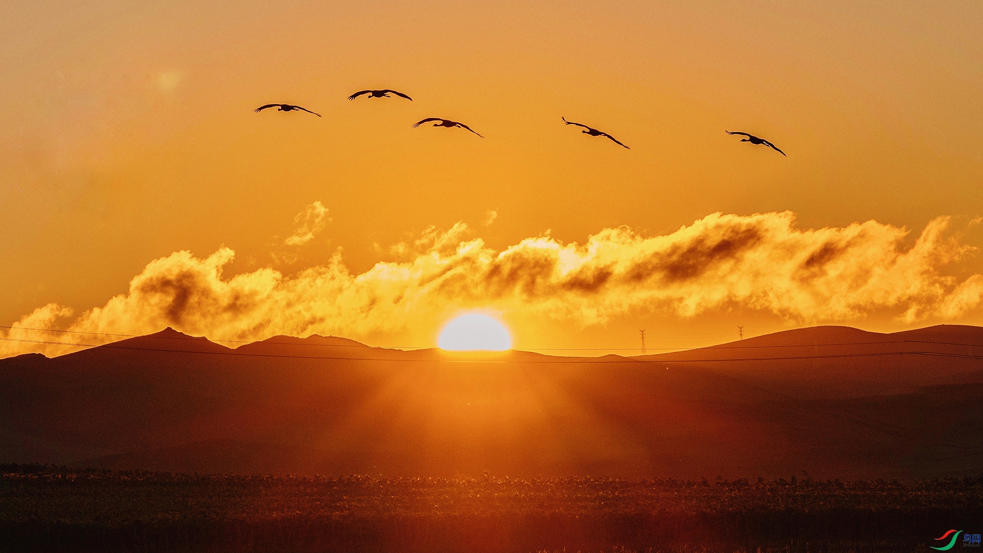 ΢��ͼƬ_20260124182543  01.jpg