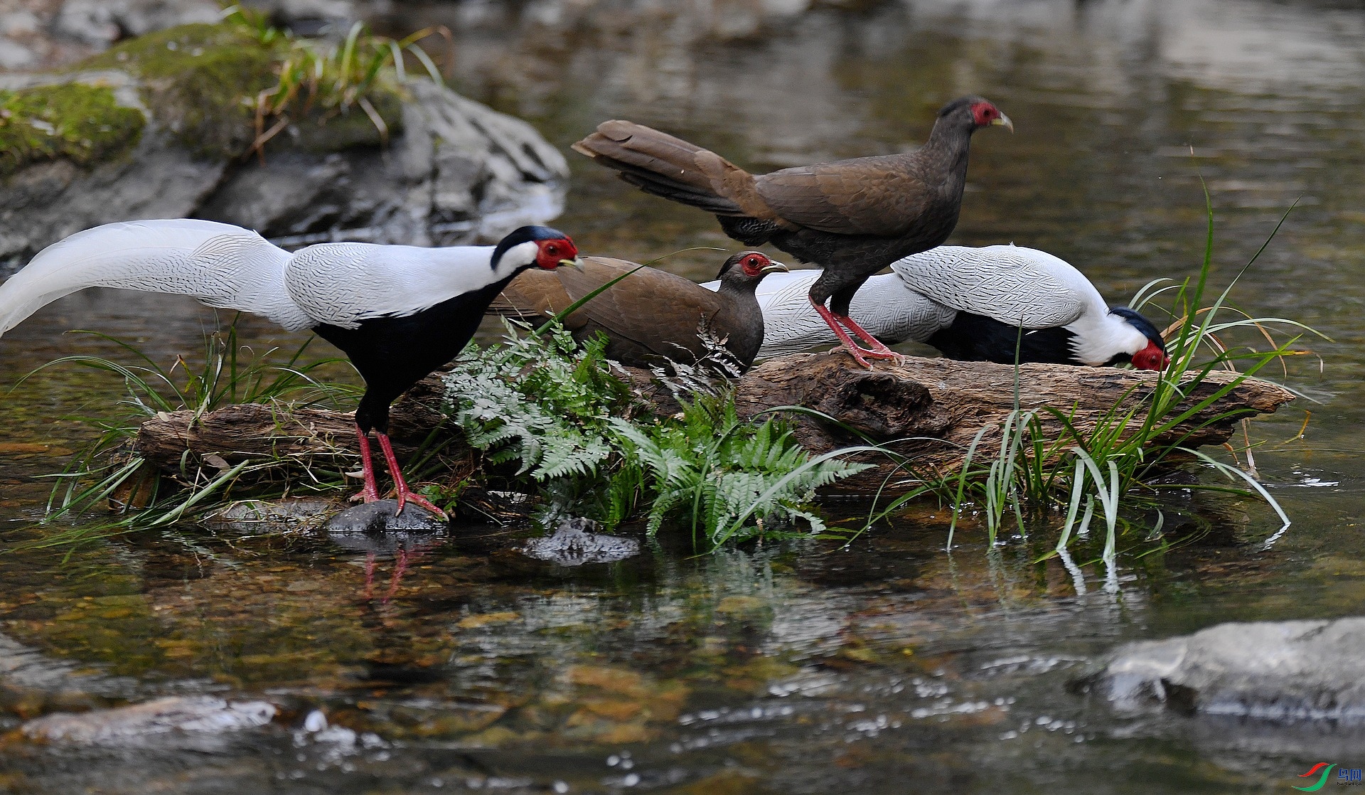 DSC_1565.jpg