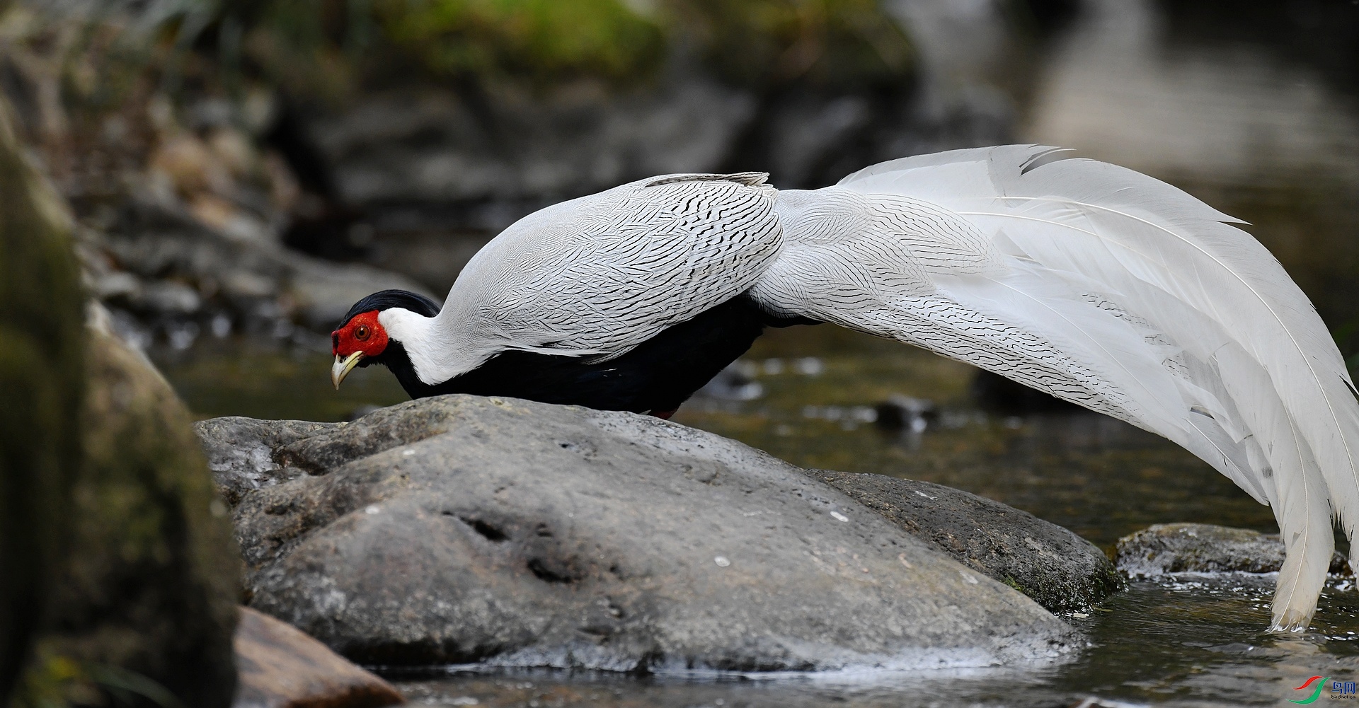 DSC_0571.jpg