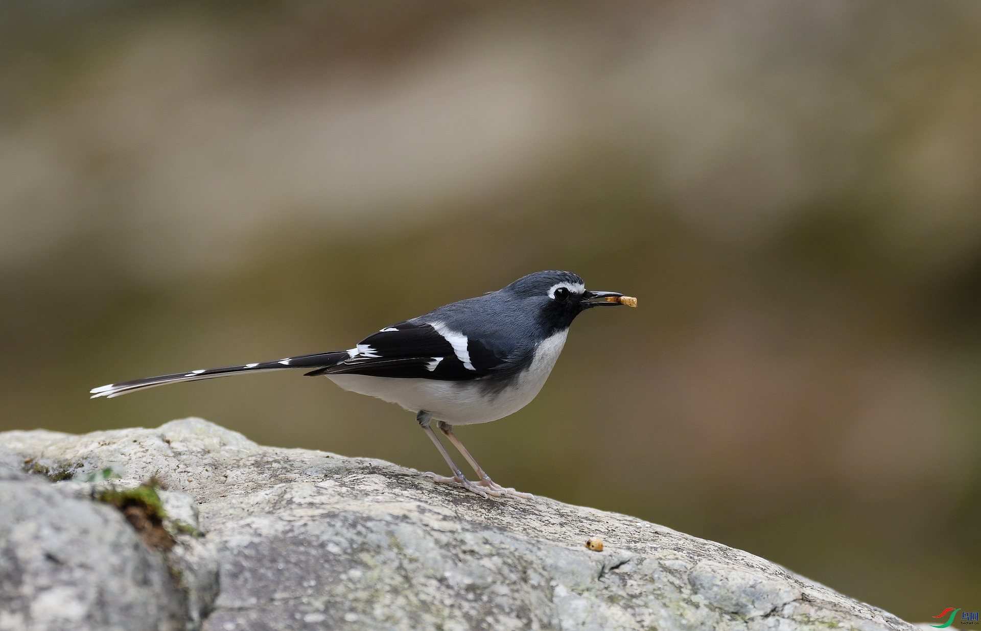DSC_0450.jpg