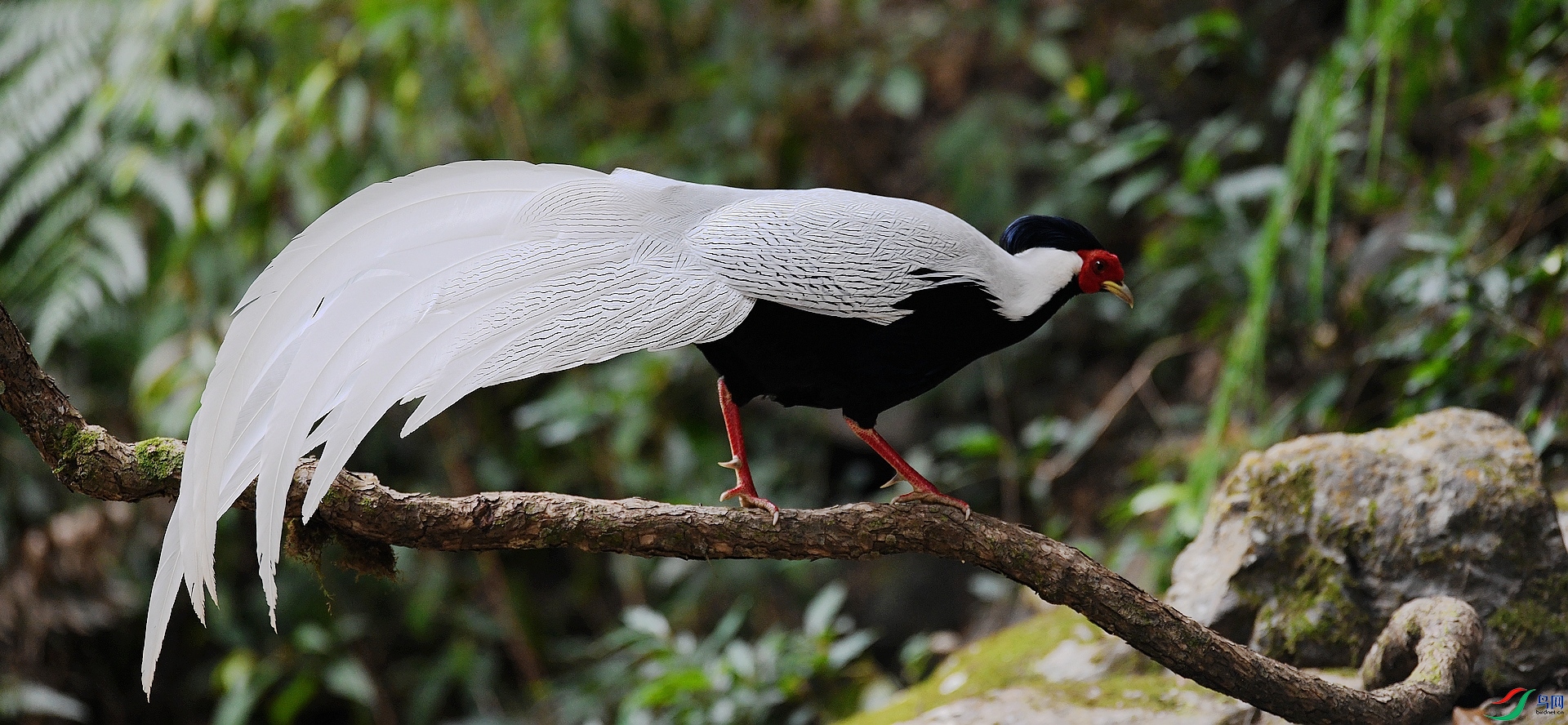 DSC_0564.jpg