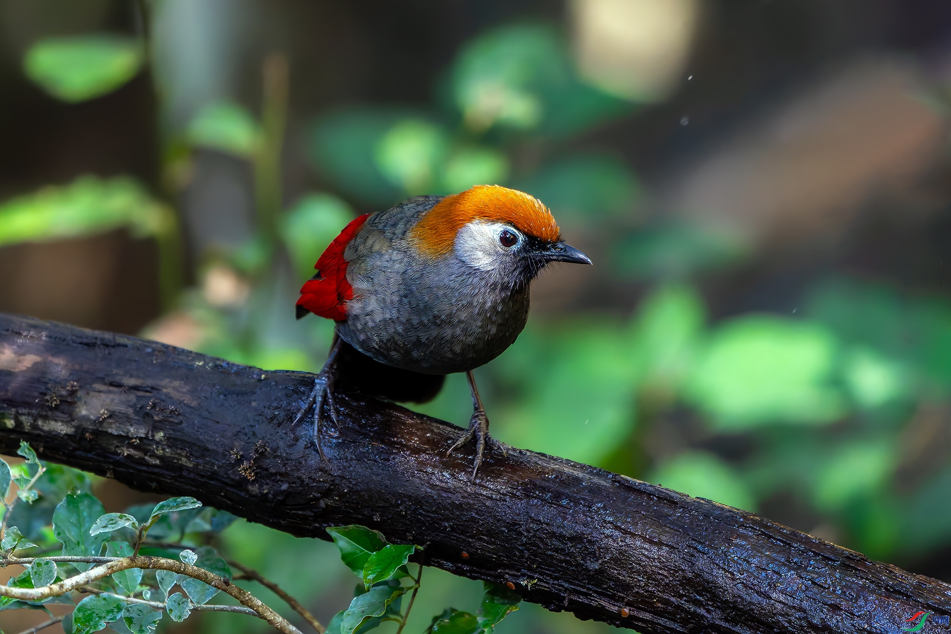 20251223-DSC08304 ����.jpg