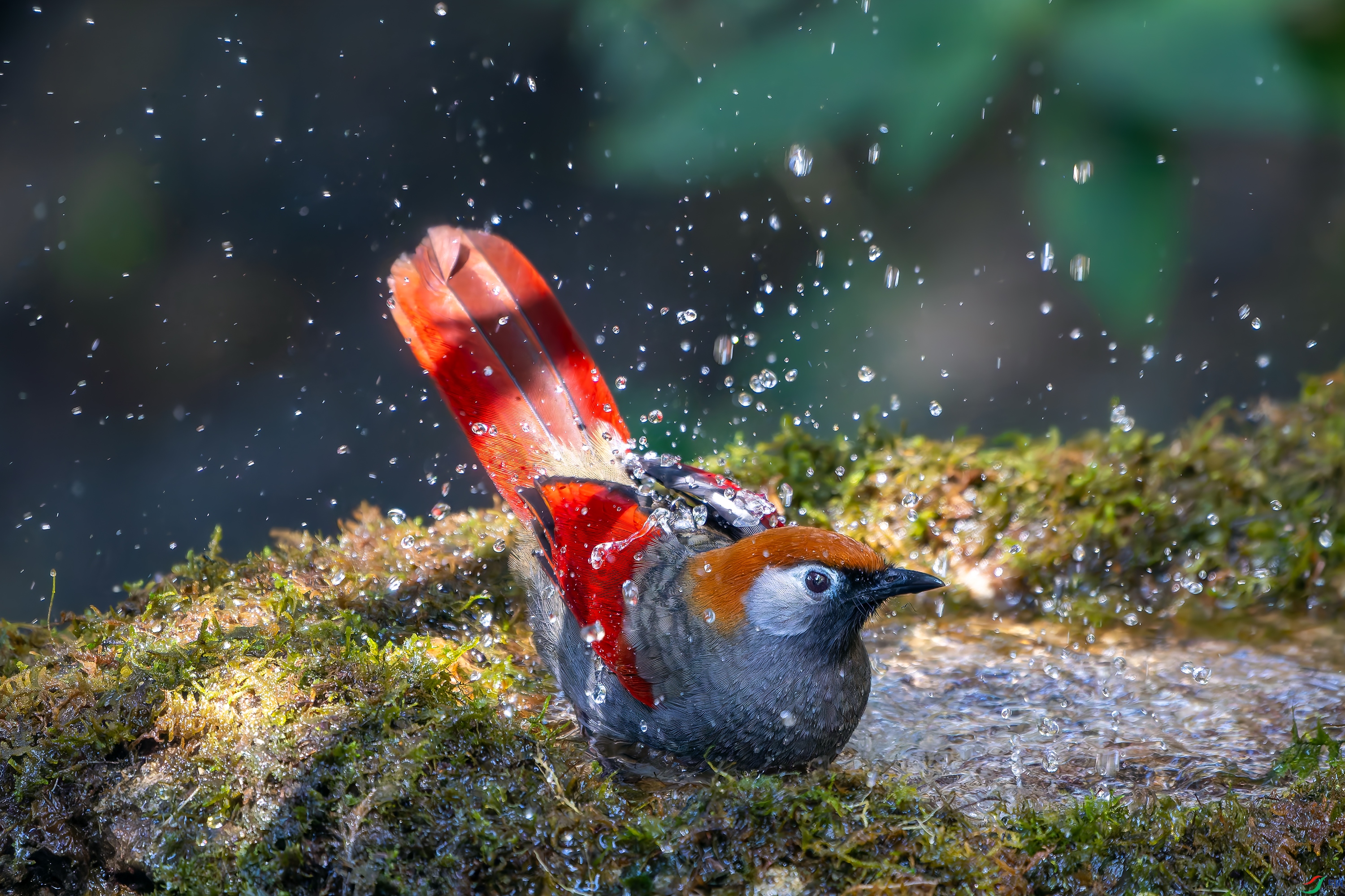 20251223-DSC08168 ����.jpg