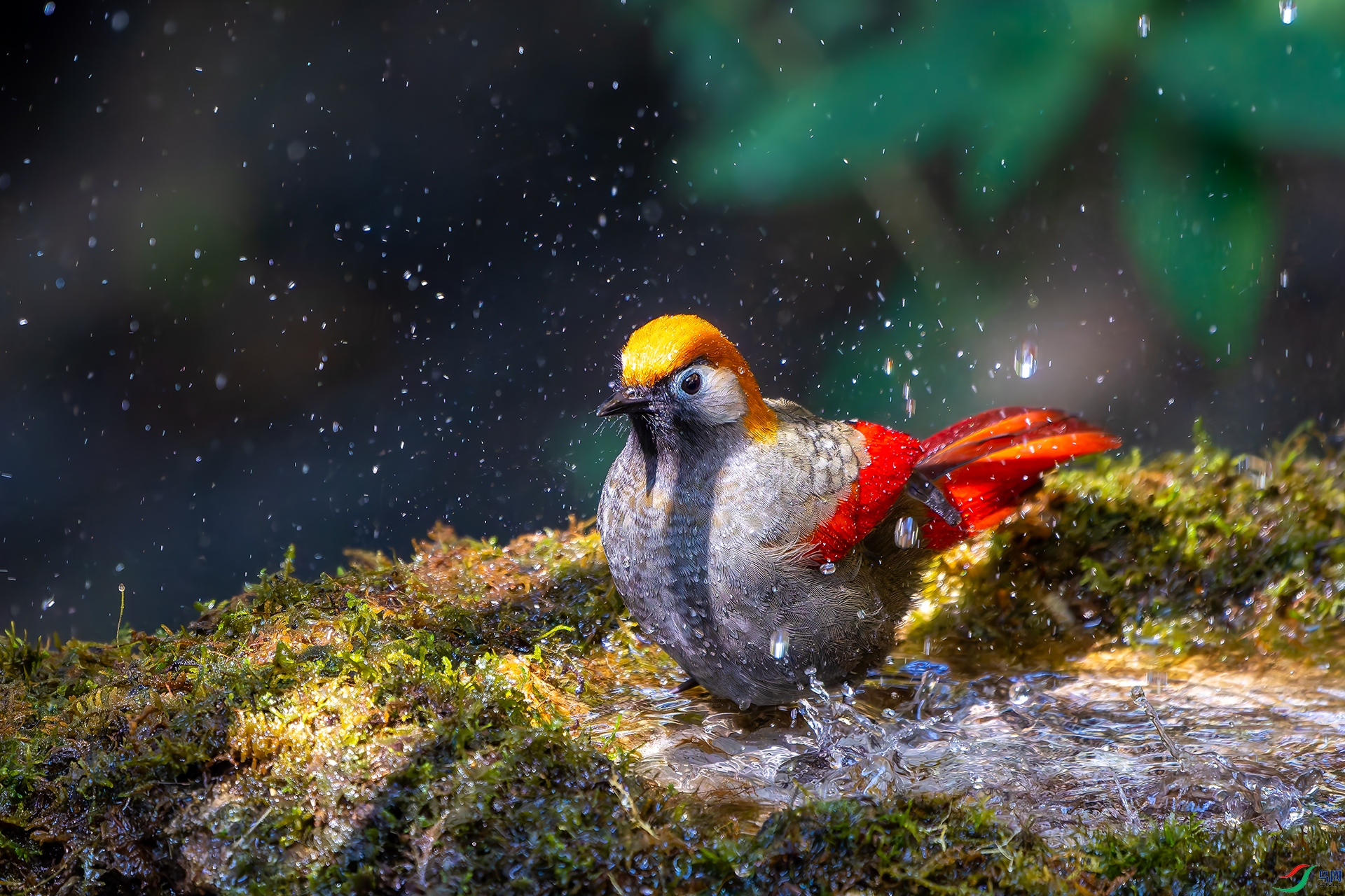 20251223-DSC08235 ����.jpg