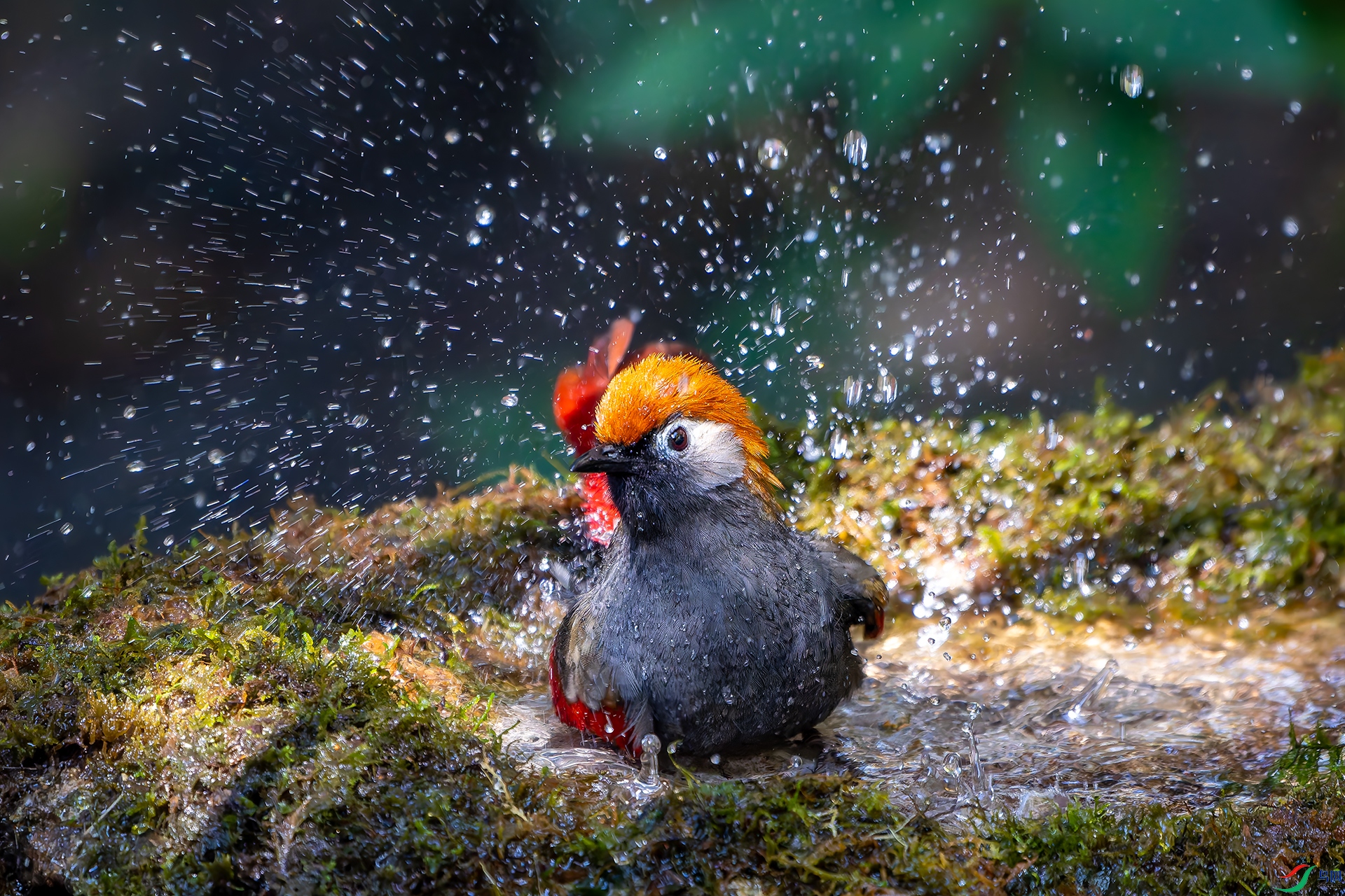 20251223-DSC08279 ����.jpg